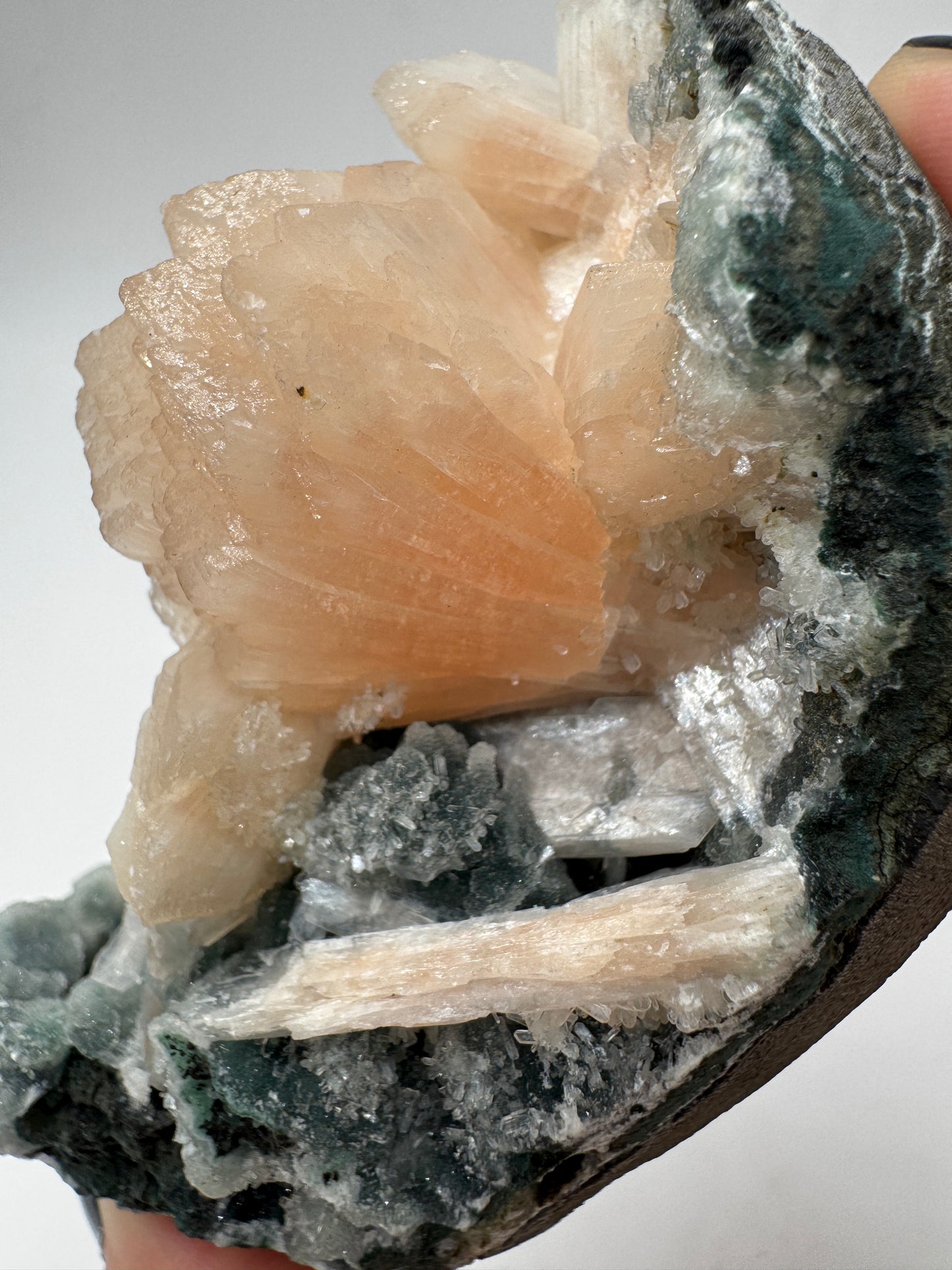 Teal-Chalcedon TC44 aus Indien mit aufgewachsenen Stilbit-Zeolith-Kristallen.