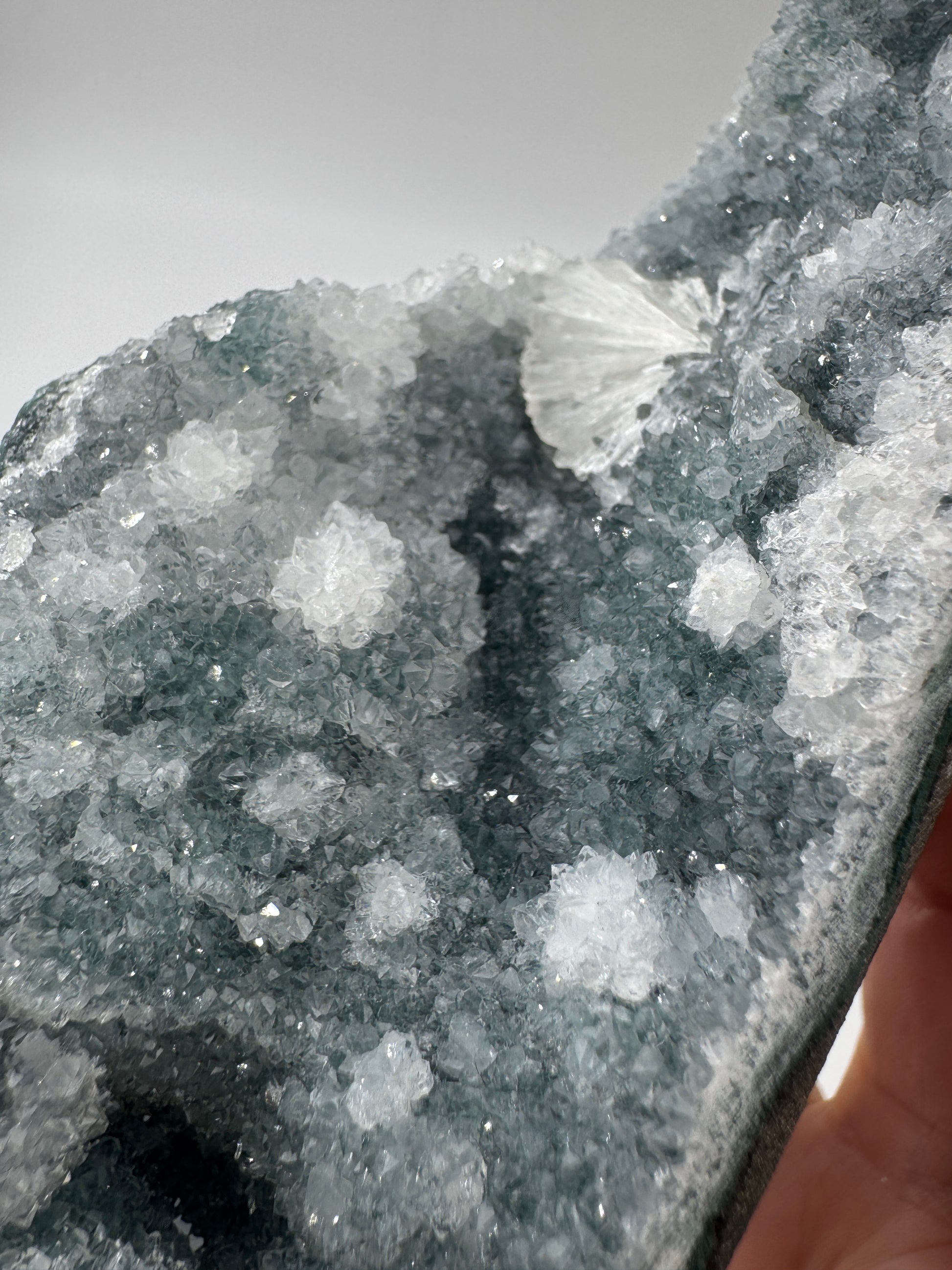 Teal-Chalcedon TC74 aus Indien, langgestreckte Mineralstufe mit botryoidaler Struktur in Petrolblau-Grün.