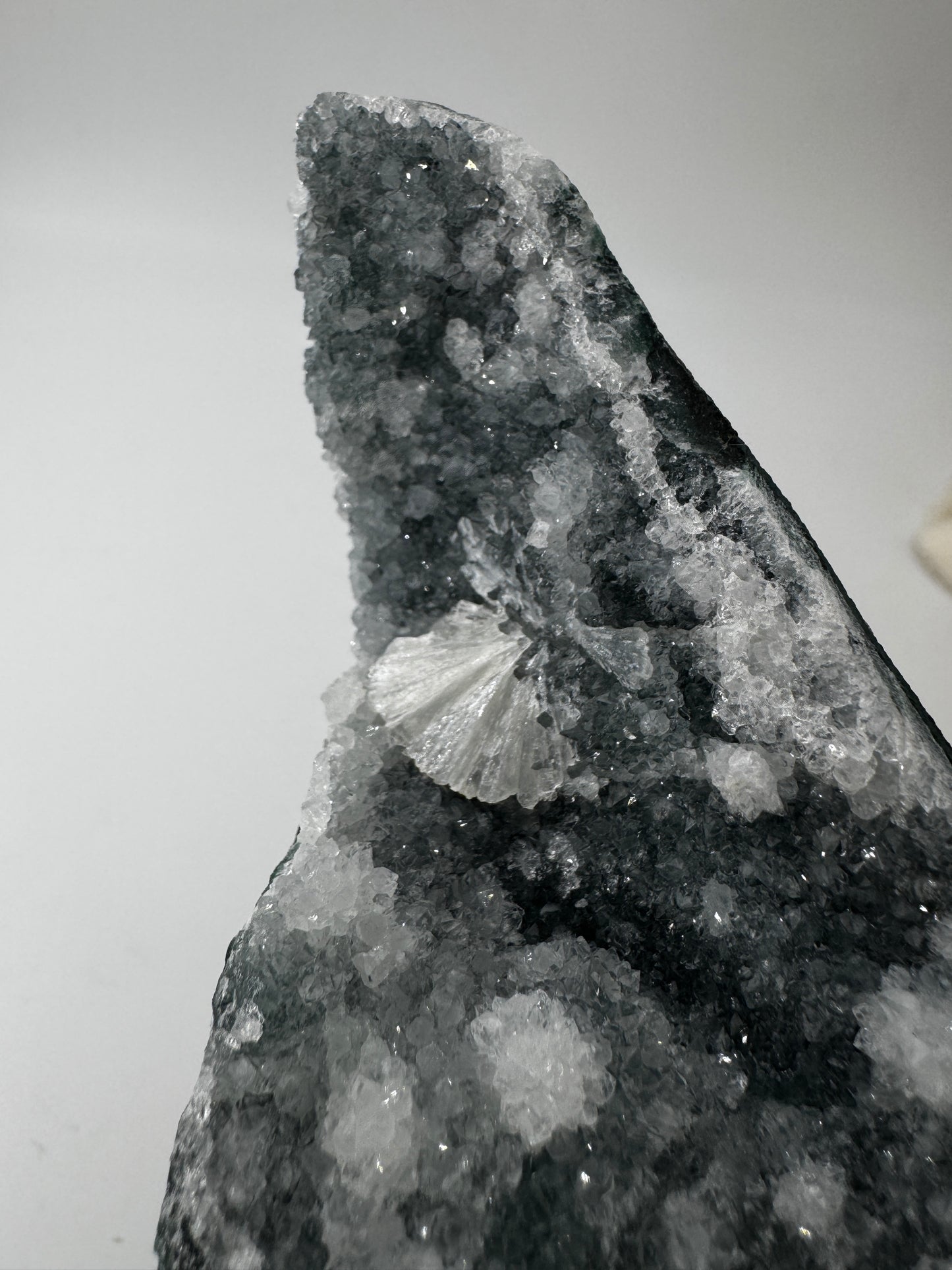 Teal-Chalcedon TC74 aus Indien, langgestreckte Mineralstufe mit botryoidaler Struktur in Petrolblau-Grün.
