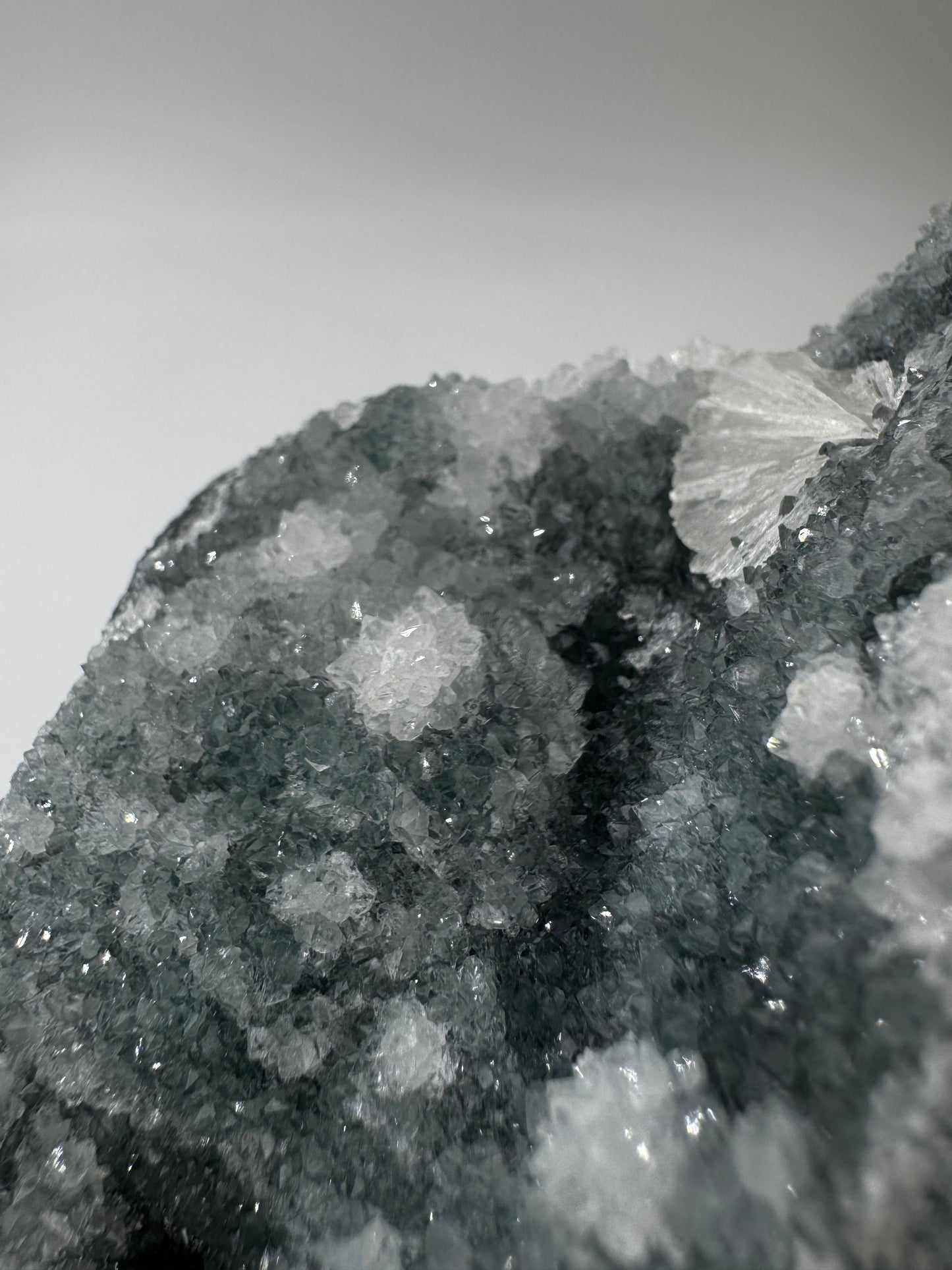 Teal-Chalcedon TC74 aus Indien, langgestreckte Mineralstufe mit botryoidaler Struktur in Petrolblau-Grün.