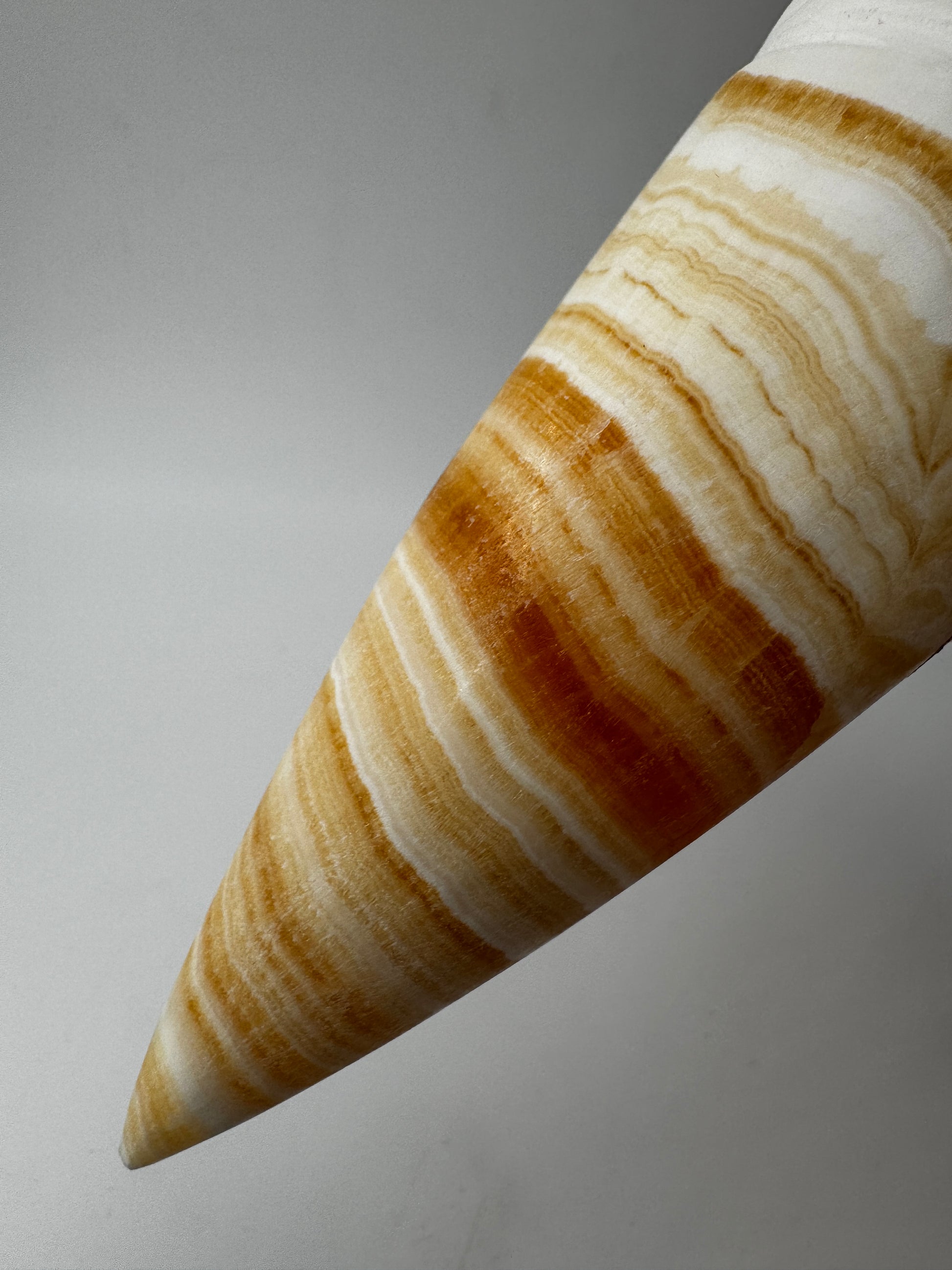 Orangencalcit-Carving OE45 in Softeis-Waffelform.