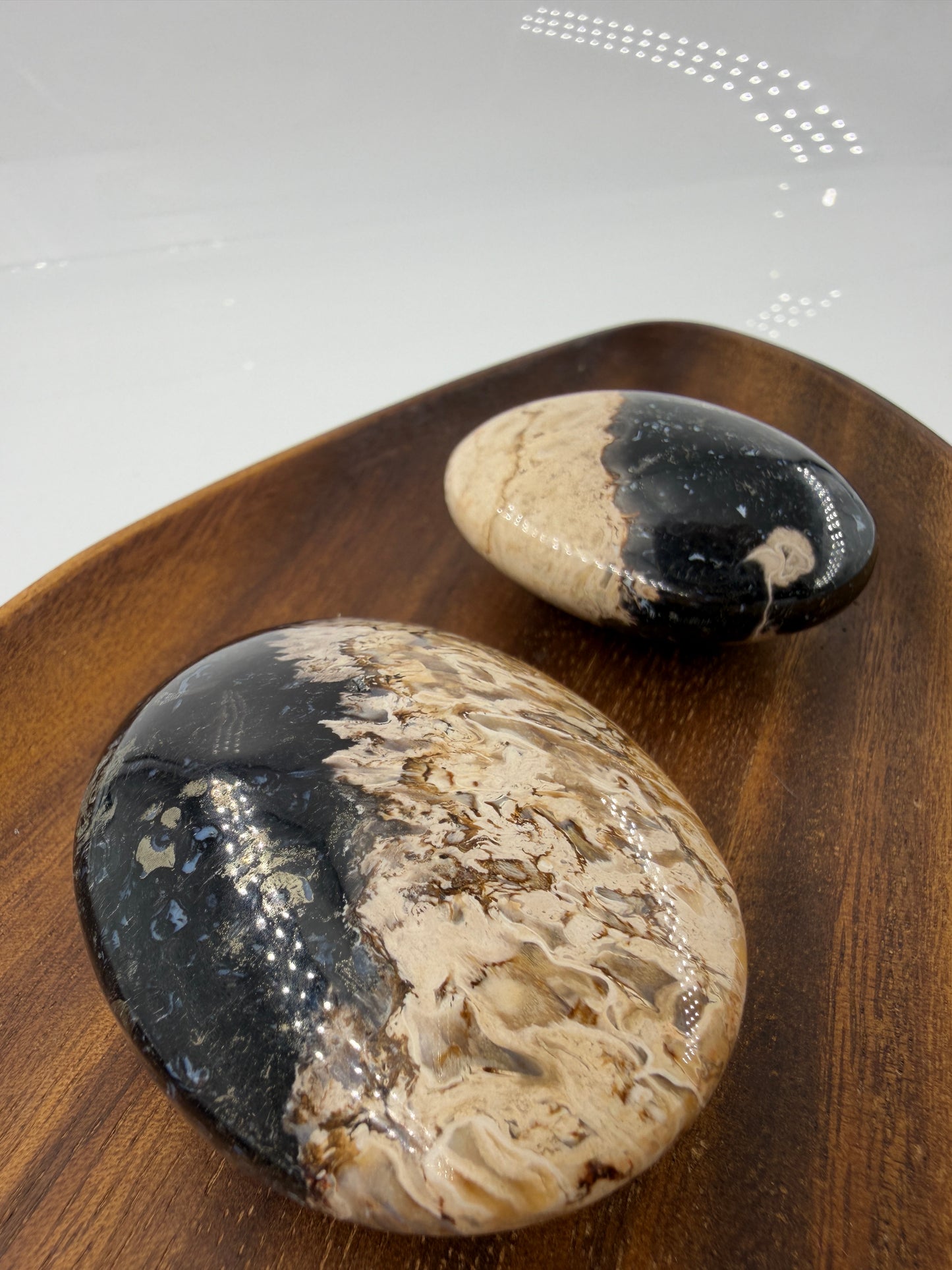 Glatt polierte Handsteine aus versteinerter Palmenwurzel mit markanten, dunklen Punktstrukturen in einer beige-braunen Matrix.
