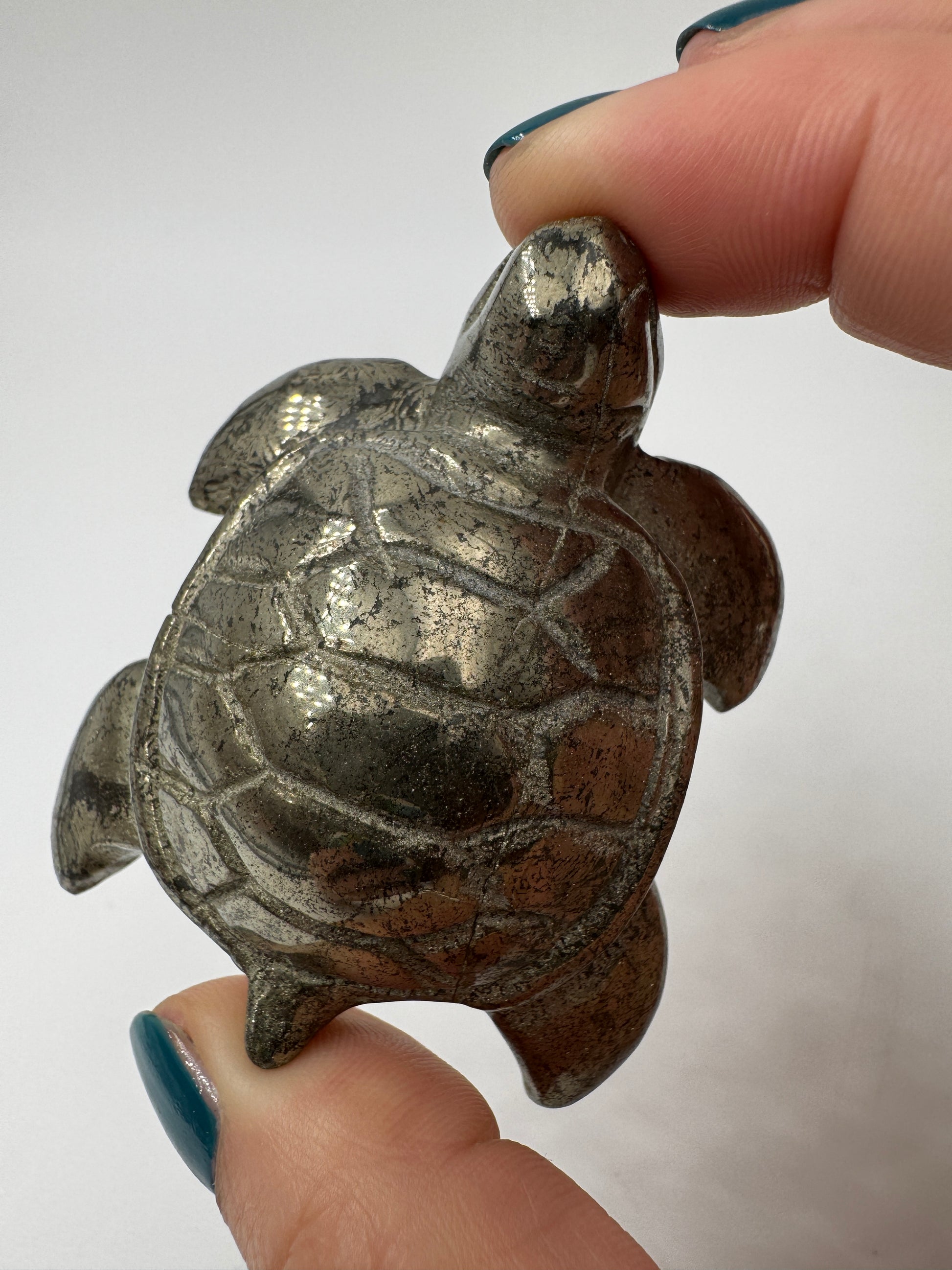 Handgeschliffene Schildkröte aus Pyrit PA19 mit metallischem Glanz.