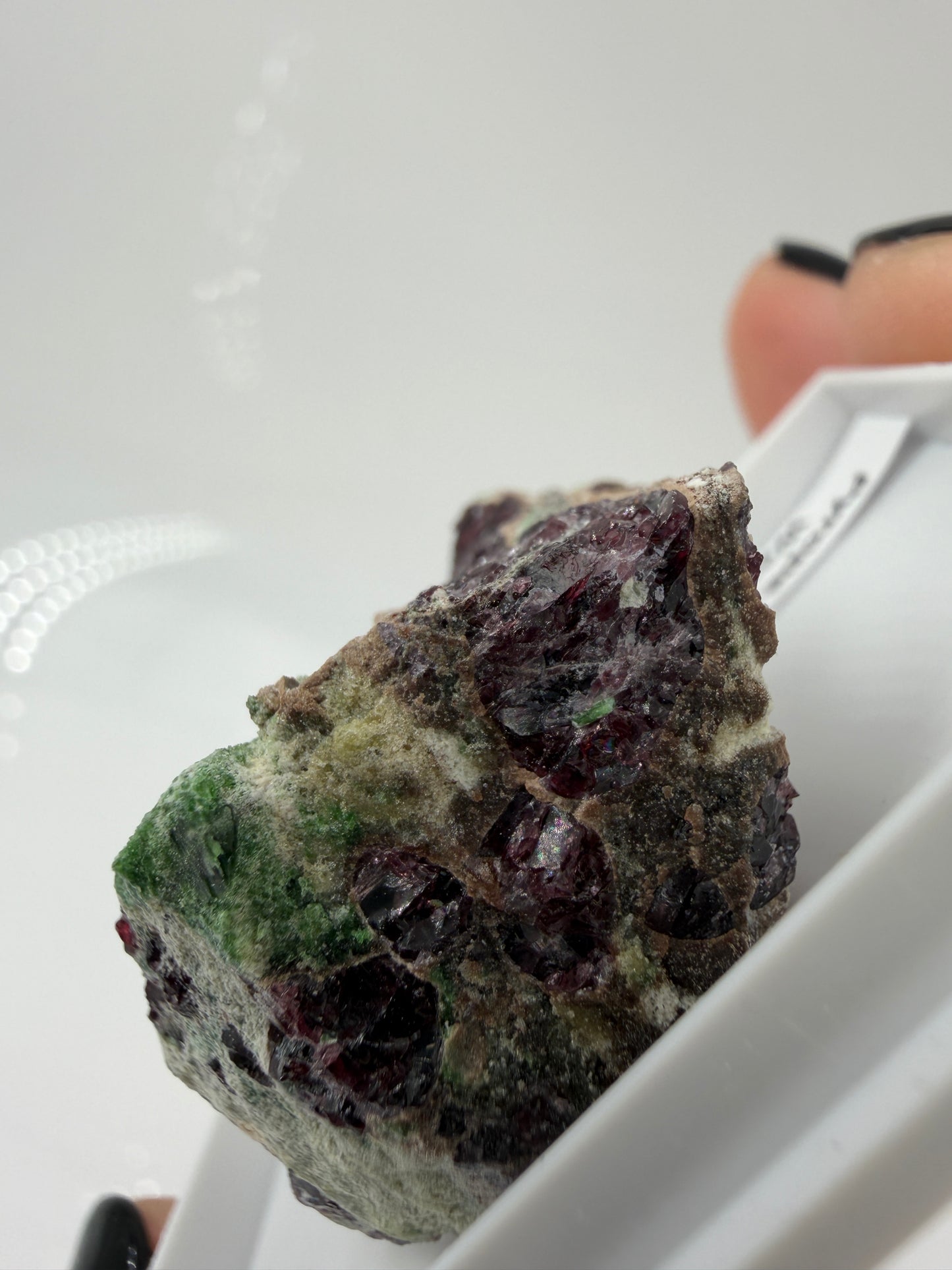 Kontrastreiches Cluster aus rotem Pyrop und grünem Chromdiopsid aus der Wanzenau, Österreich.