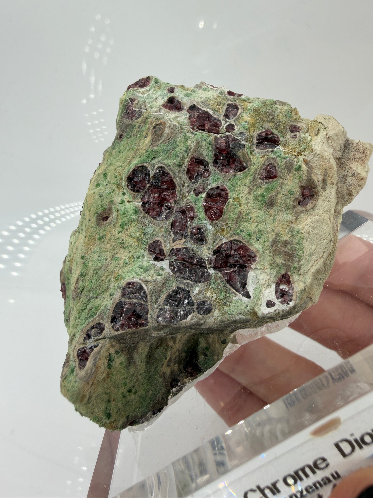 Kontrastreiches Cluster aus rotem Pyrop und grünem Chromdiopsid aus der Wanzenau, Österreich.