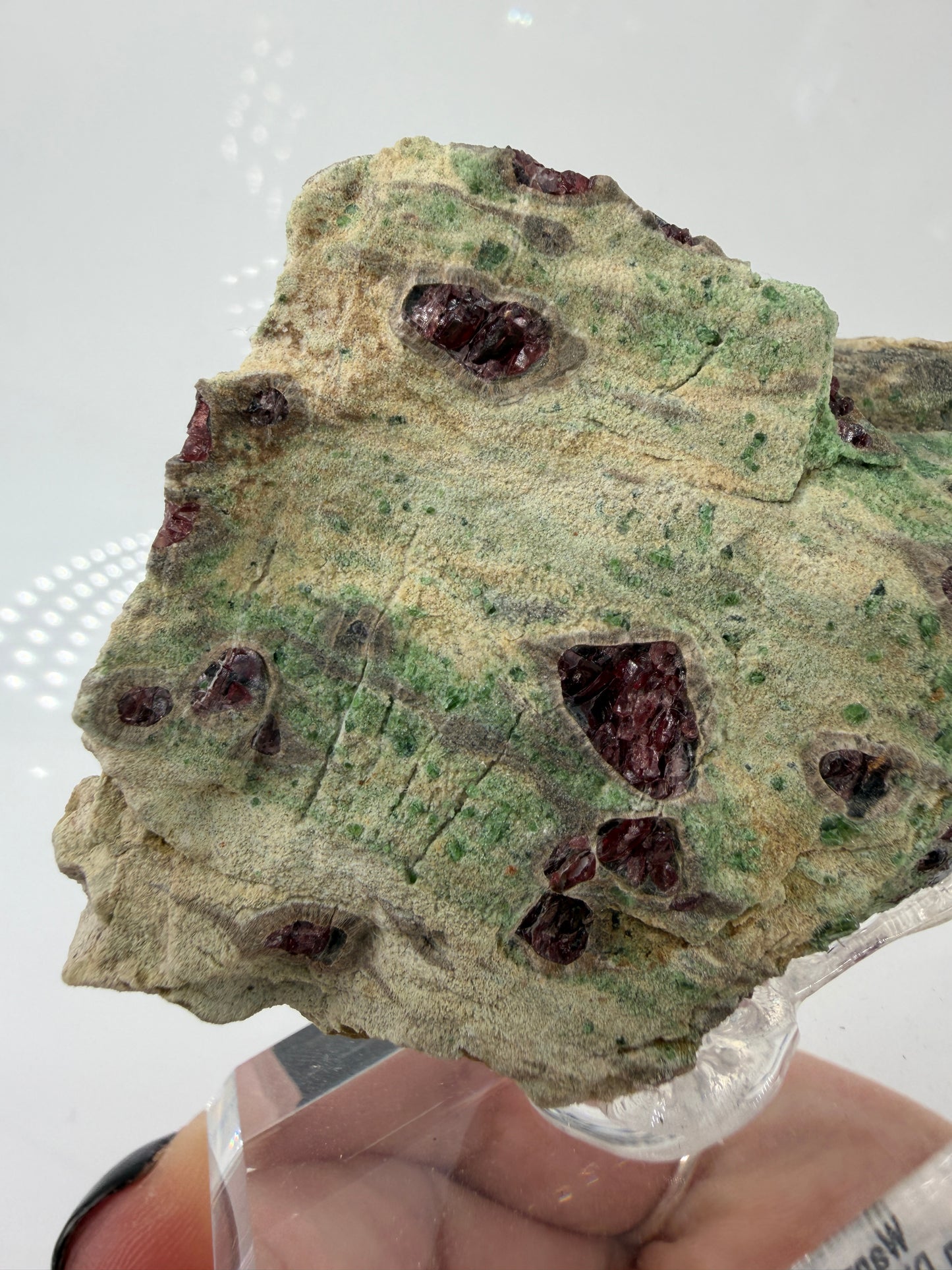 Kontrastreiches Cluster aus rotem Pyrop und grünem Chromdiopsid aus der Wanzenau, Österreich.
