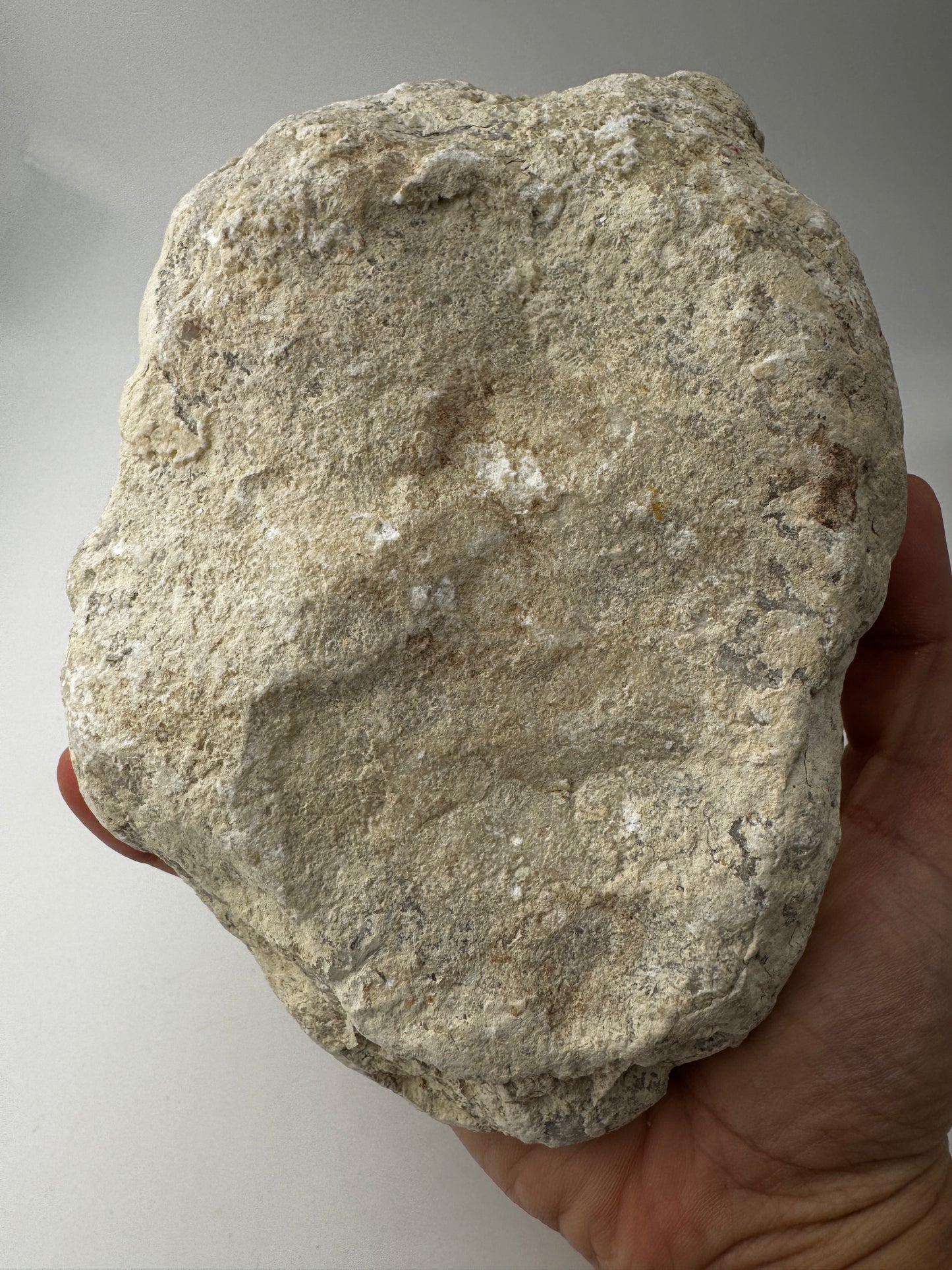 Quarzgeode QG29, 16×11 cm – natürliche Druse mit funkelnden Bergkristallen im charakteristischen Glasglanz, geologisches Einzelstück für Mineraliensammler.