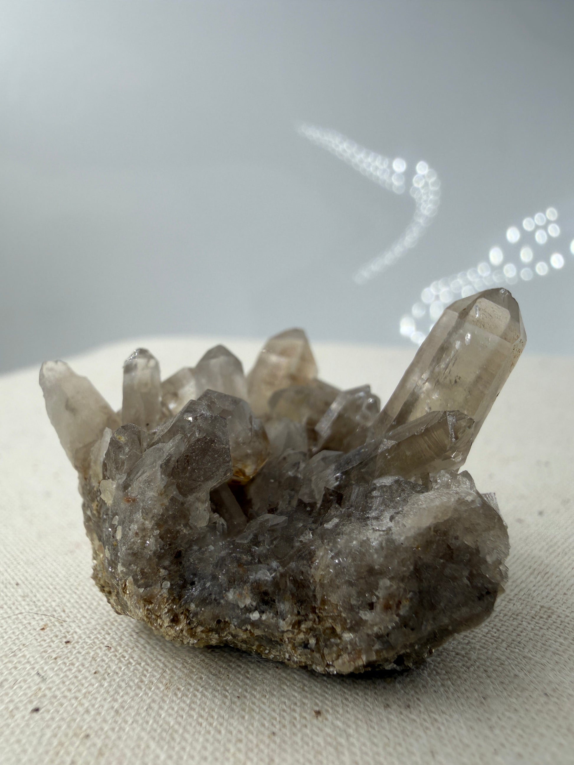 Ein ästhetisches Rauchquarz-Specimen.