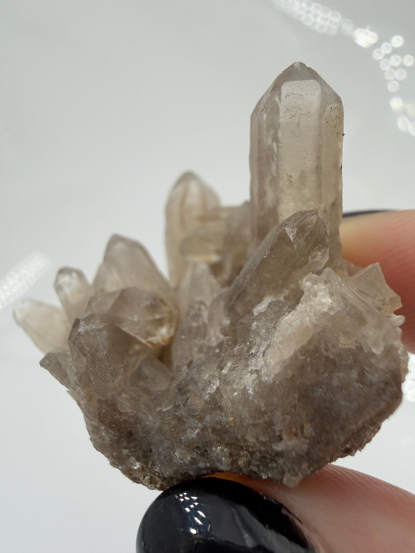 Ein ästhetisches Rauchquarz-Specimen.