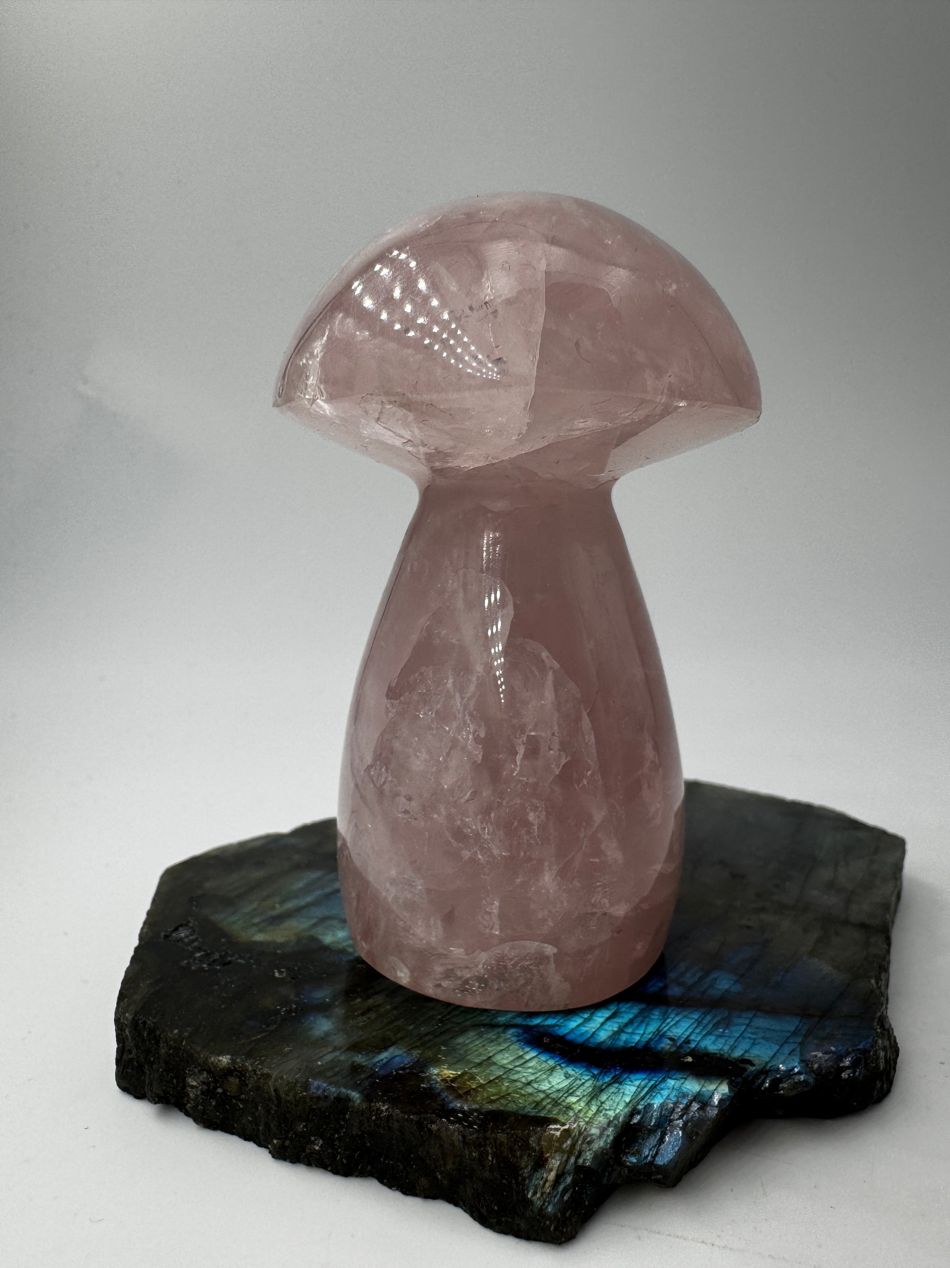 Rosenquarz-Carving RP20 in Pilzform, 7,8×4,7 cm – handgeschliffenes Mineral in warmem Rosa mit seidig-matter Oberfläche und natürlicher Transluzenz, Sammlerobjekt.