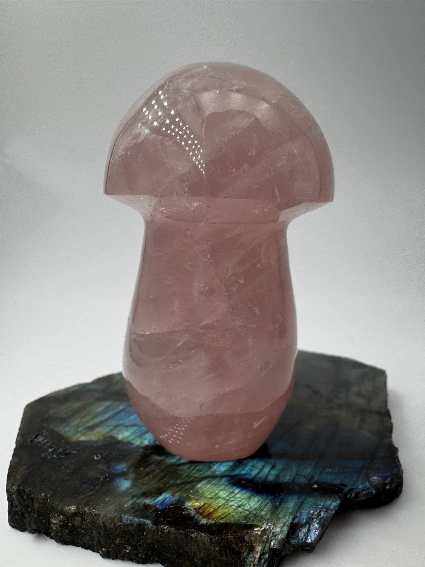 Rosenquarz-Carving RP22 in Pilzform, 7,2×4,1 cm – handgeschliffenes Mineral in zartem Rosa mit seidig-transluzenter Oberfläche, Sammlerobjekt aus Rosenquarz.