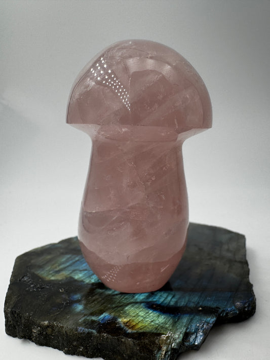 Rosenquarz-Carving RP22 in Pilzform, 7,2×4,1 cm – handgeschliffenes Mineral in zartem Rosa mit seidig-transluzenter Oberfläche, Sammlerobjekt aus Rosenquarz.