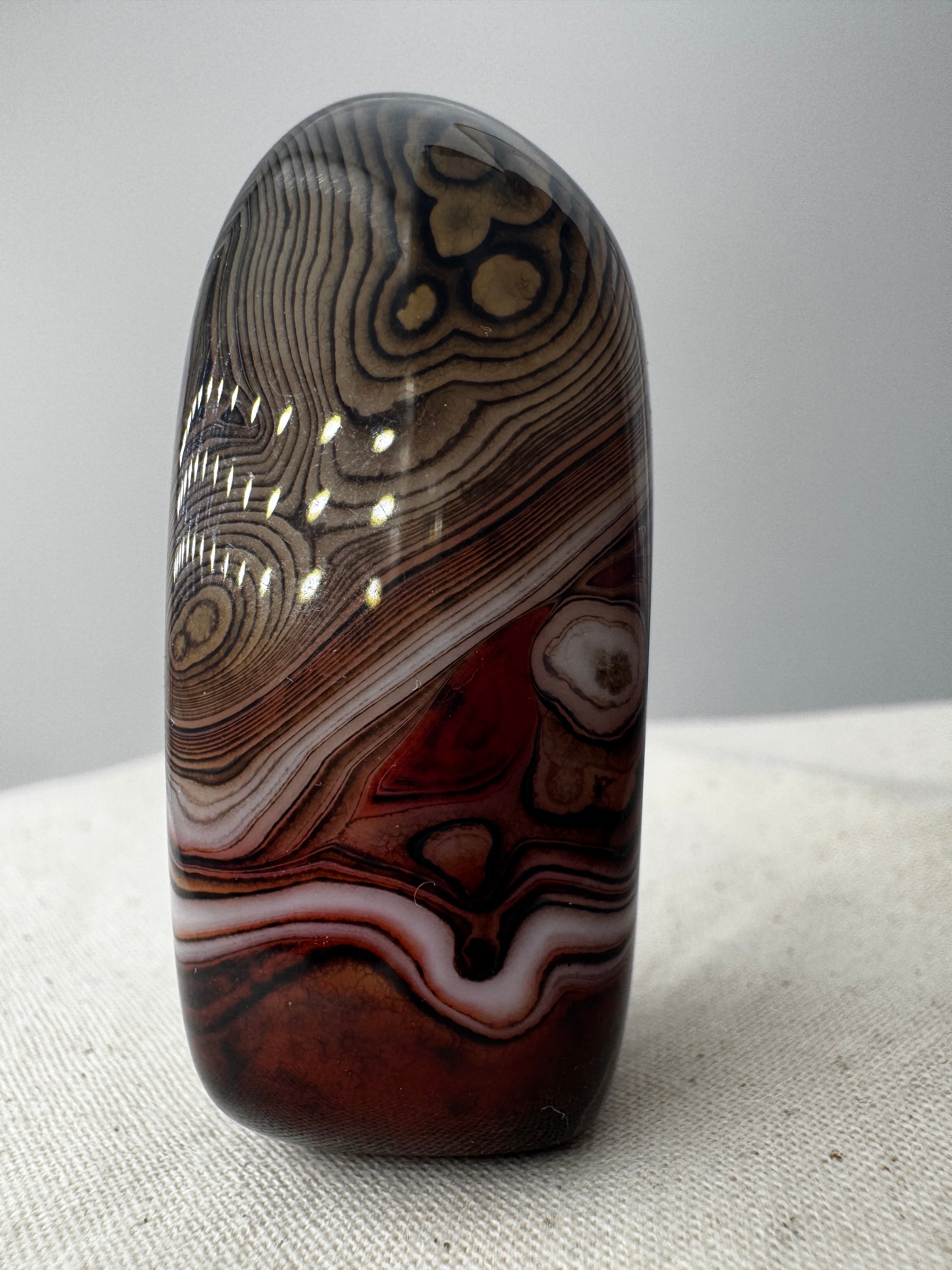 Eine Sardonyx-Freiform präsentiert ihre scharf abgegrenzten, weiß-braunen Farbschichten unter einer glänzenden Oberflächenpolitur.