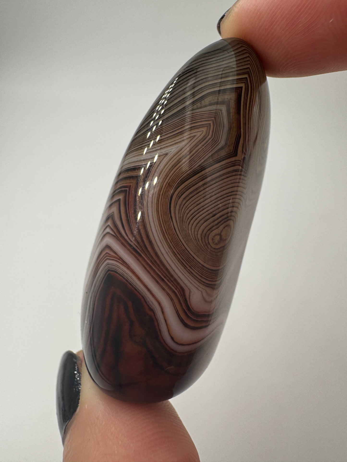 Eine Sardonyx-Freiform präsentiert ihre scharf abgegrenzten, weiß-braunen Farbschichten unter einer glänzenden Oberflächenpolitur.