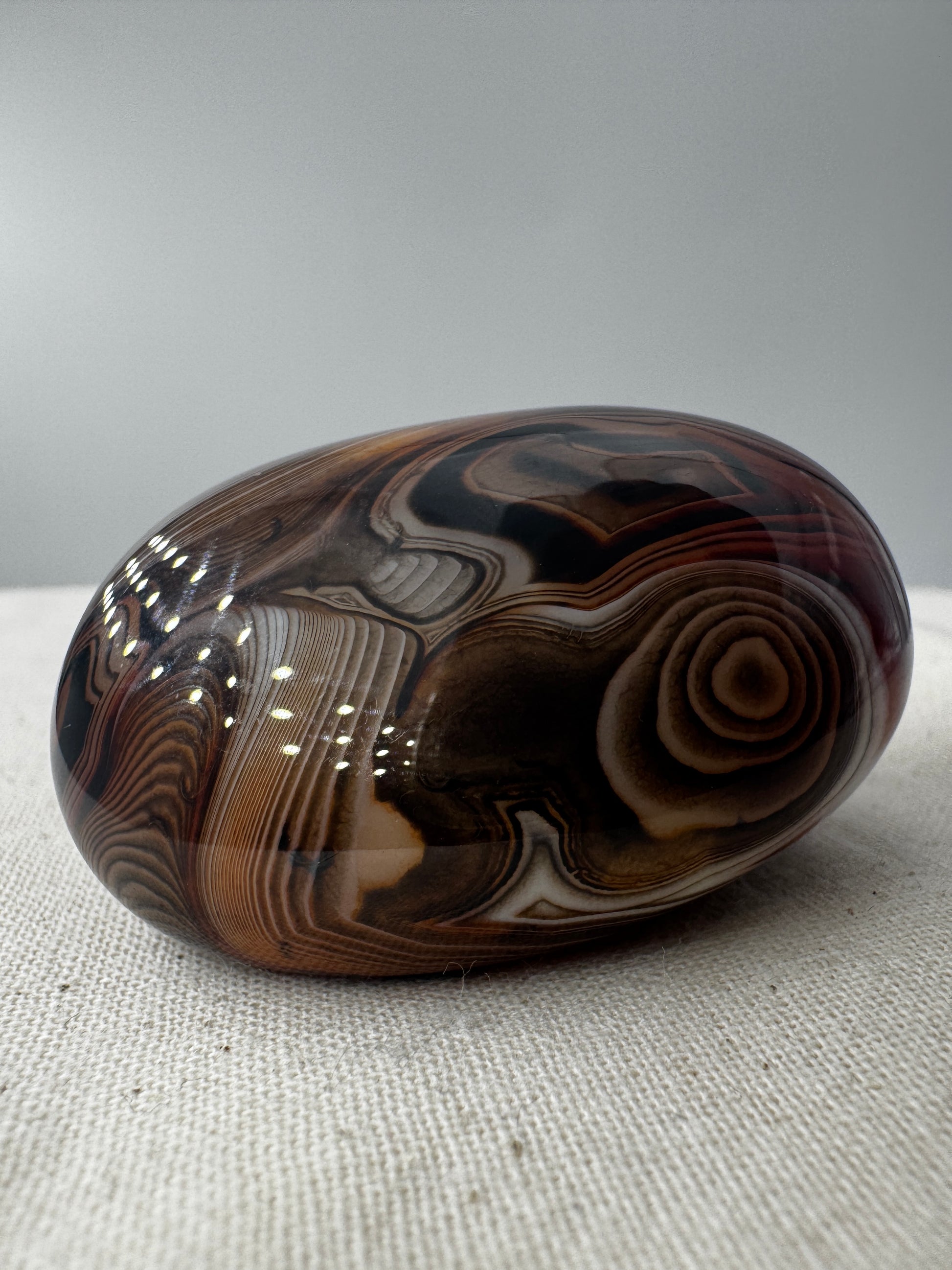 Eine Sardonyx-Freiform präsentiert ihre scharf abgegrenzten, weiß-braunen Farbschichten unter einer glänzenden Oberflächenpolitur.