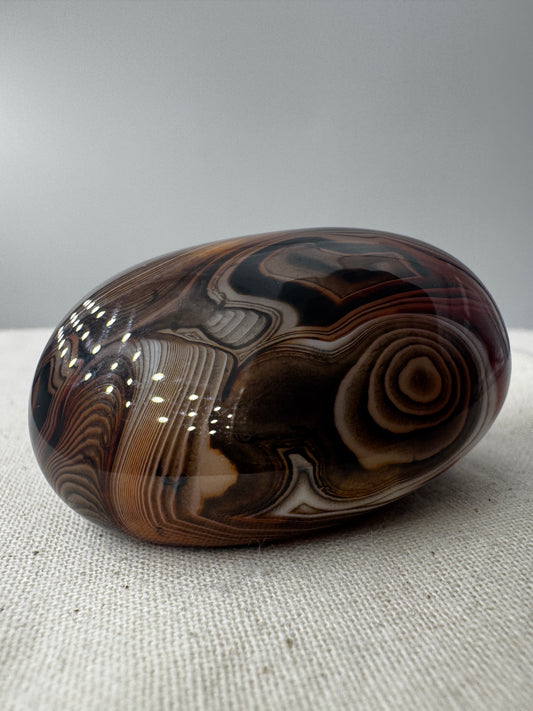 Eine Sardonyx-Freiform präsentiert ihre scharf abgegrenzten, weiß-braunen Farbschichten unter einer glänzenden Oberflächenpolitur.