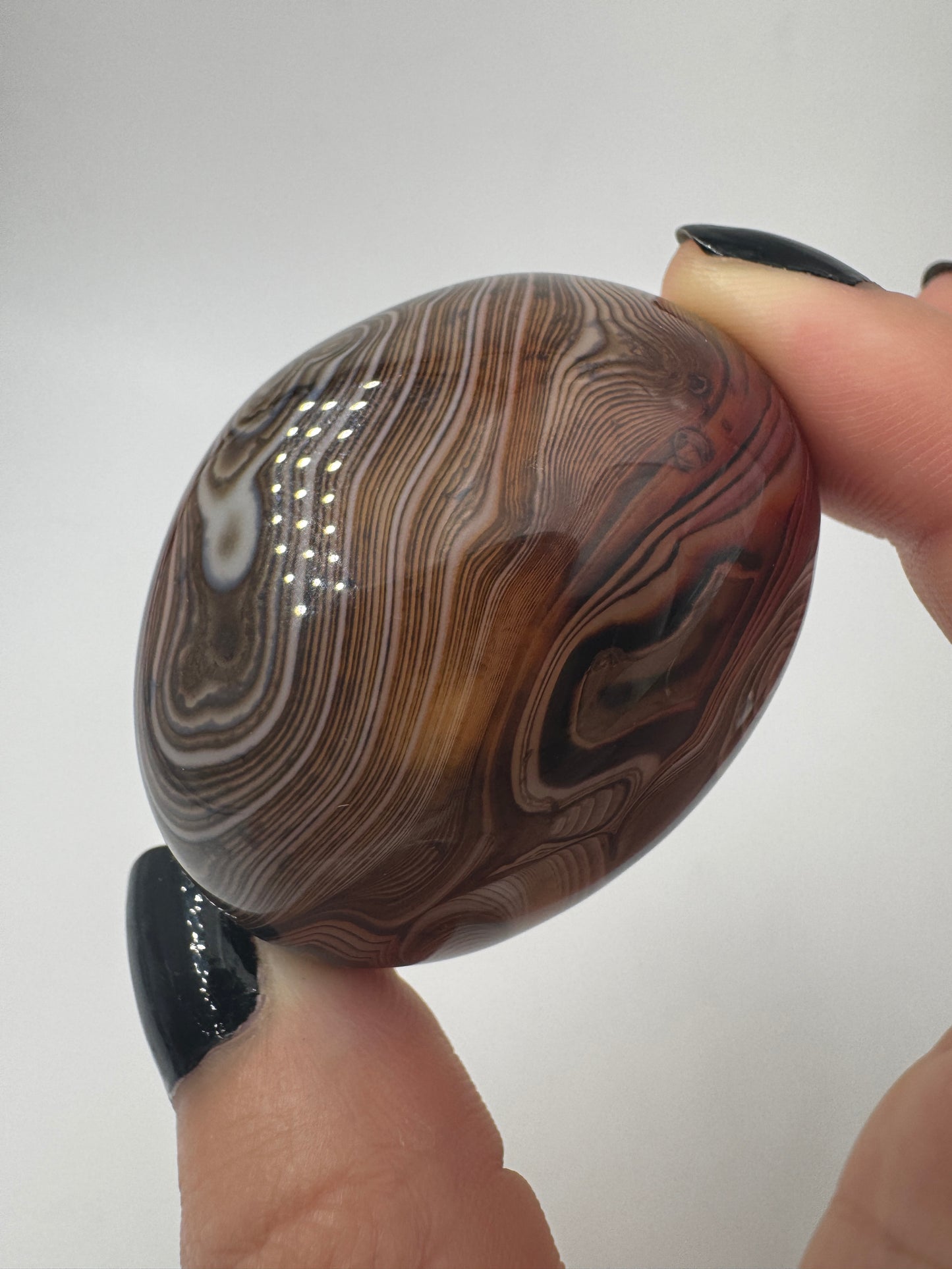 Eine Sardonyx-Freiform präsentiert ihre scharf abgegrenzten, weiß-braunen Farbschichten unter einer glänzenden Oberflächenpolitur.