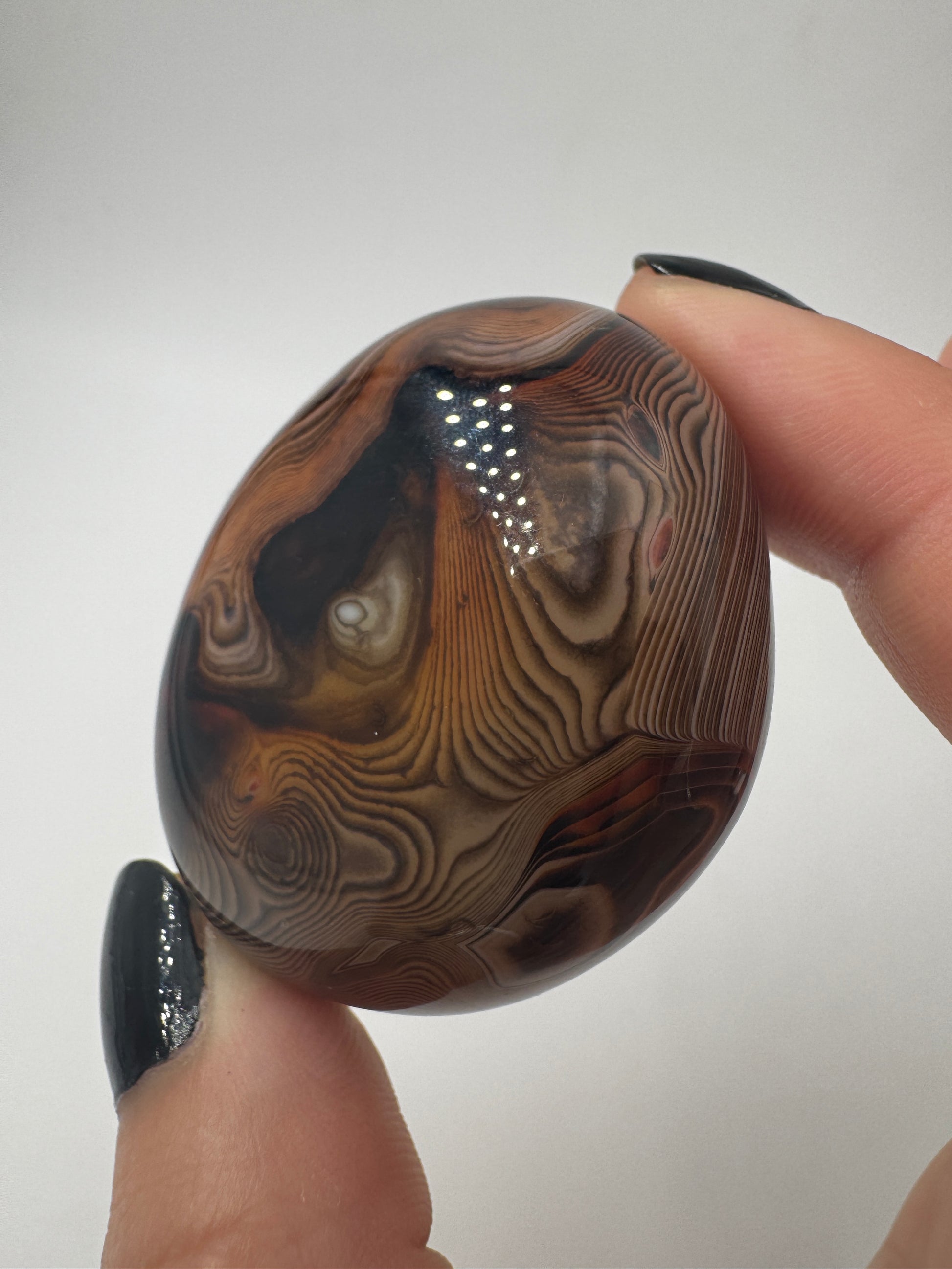 Eine Sardonyx-Freiform präsentiert ihre scharf abgegrenzten, weiß-braunen Farbschichten unter einer glänzenden Oberflächenpolitur.