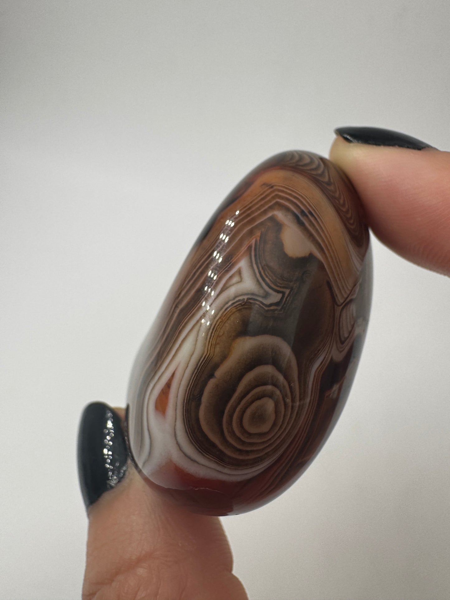 Eine Sardonyx-Freiform präsentiert ihre scharf abgegrenzten, weiß-braunen Farbschichten unter einer glänzenden Oberflächenpolitur.