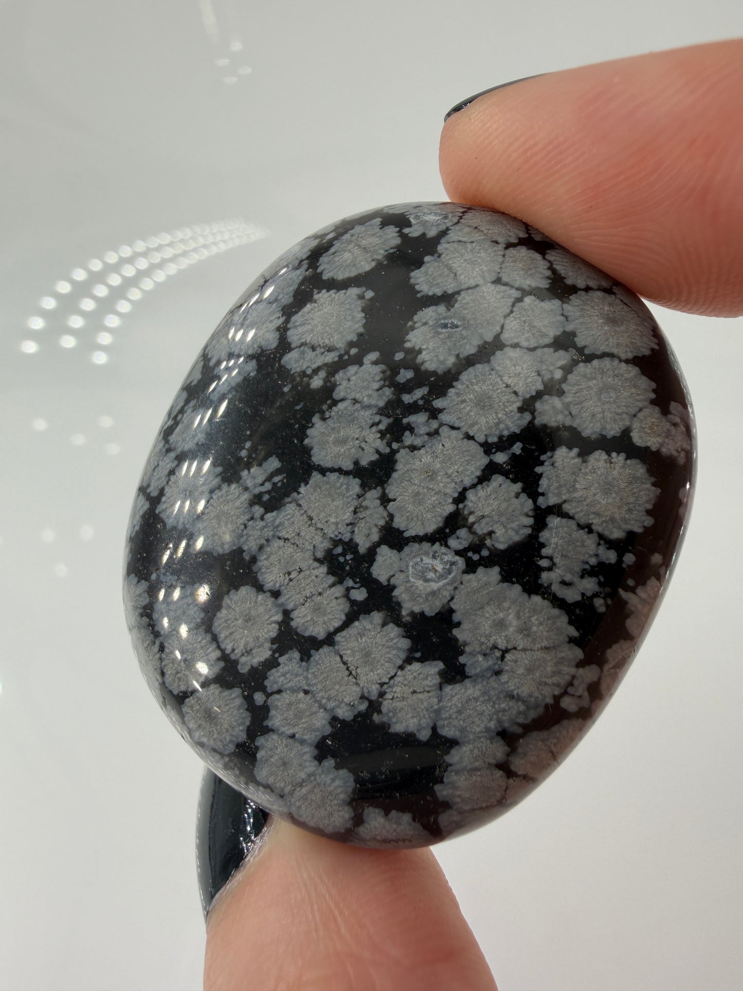 Flacher Scheibenstein aus Schneeflocken-Obsidian mit markanten weißen Cristobalit-Flocken auf schwarzer Glasmatrix.