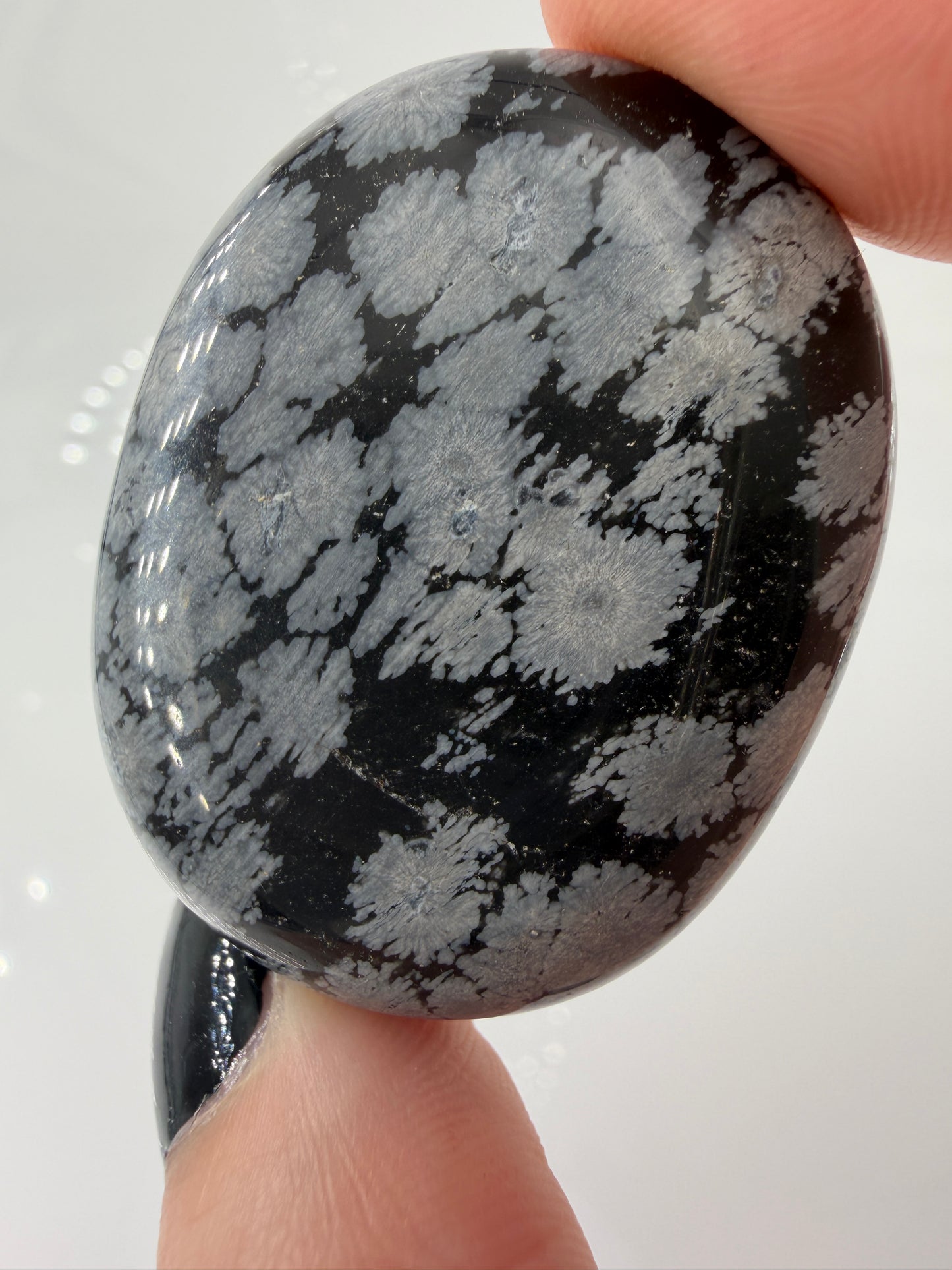 Flacher Scheibenstein aus Schneeflocken-Obsidian mit markanten weißen Cristobalit-Flocken auf schwarzer Glasmatrix.