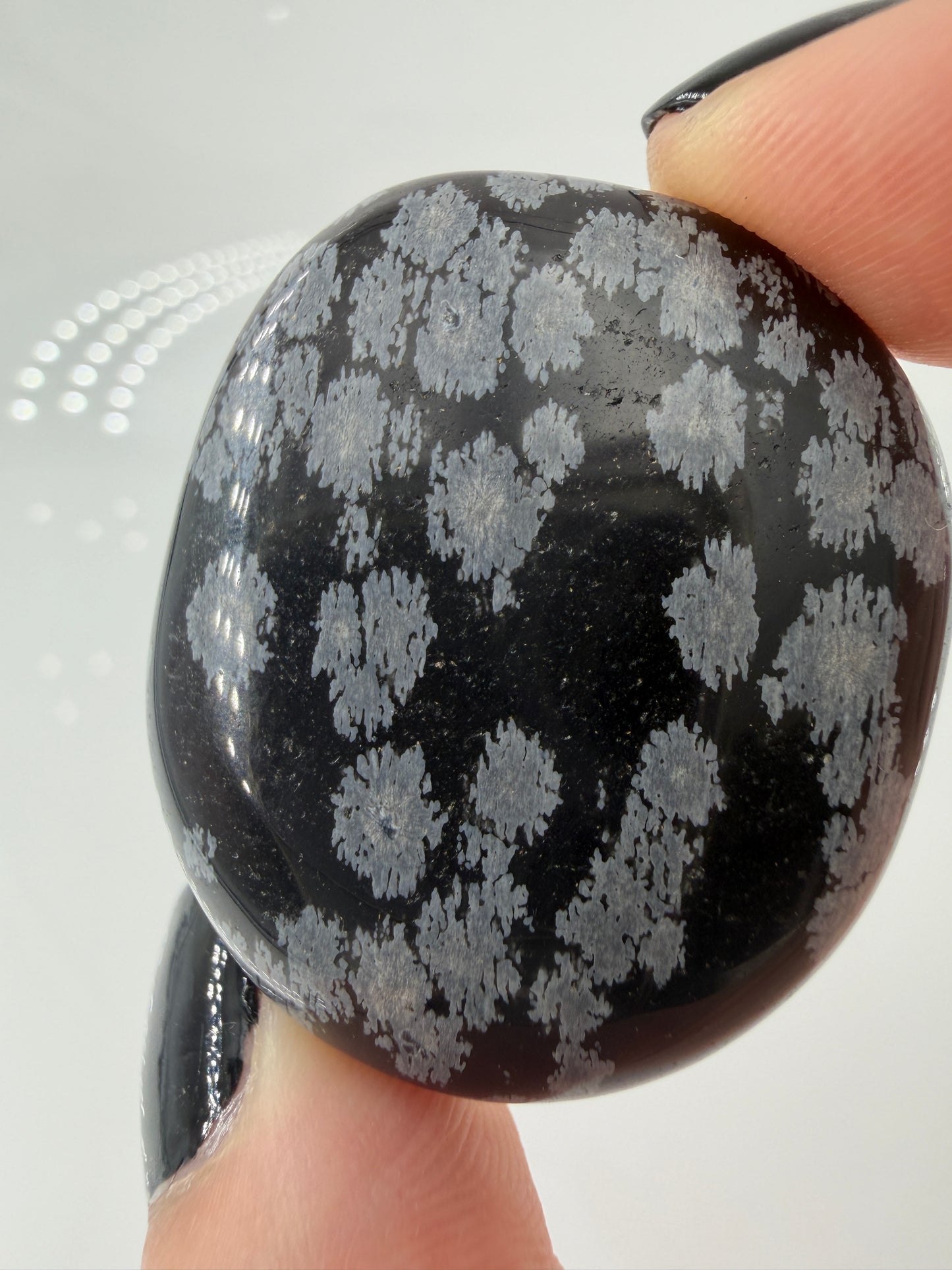 Flacher Scheibenstein aus Schneeflocken-Obsidian mit markanten weißen Cristobalit-Flocken auf schwarzer Glasmatrix.