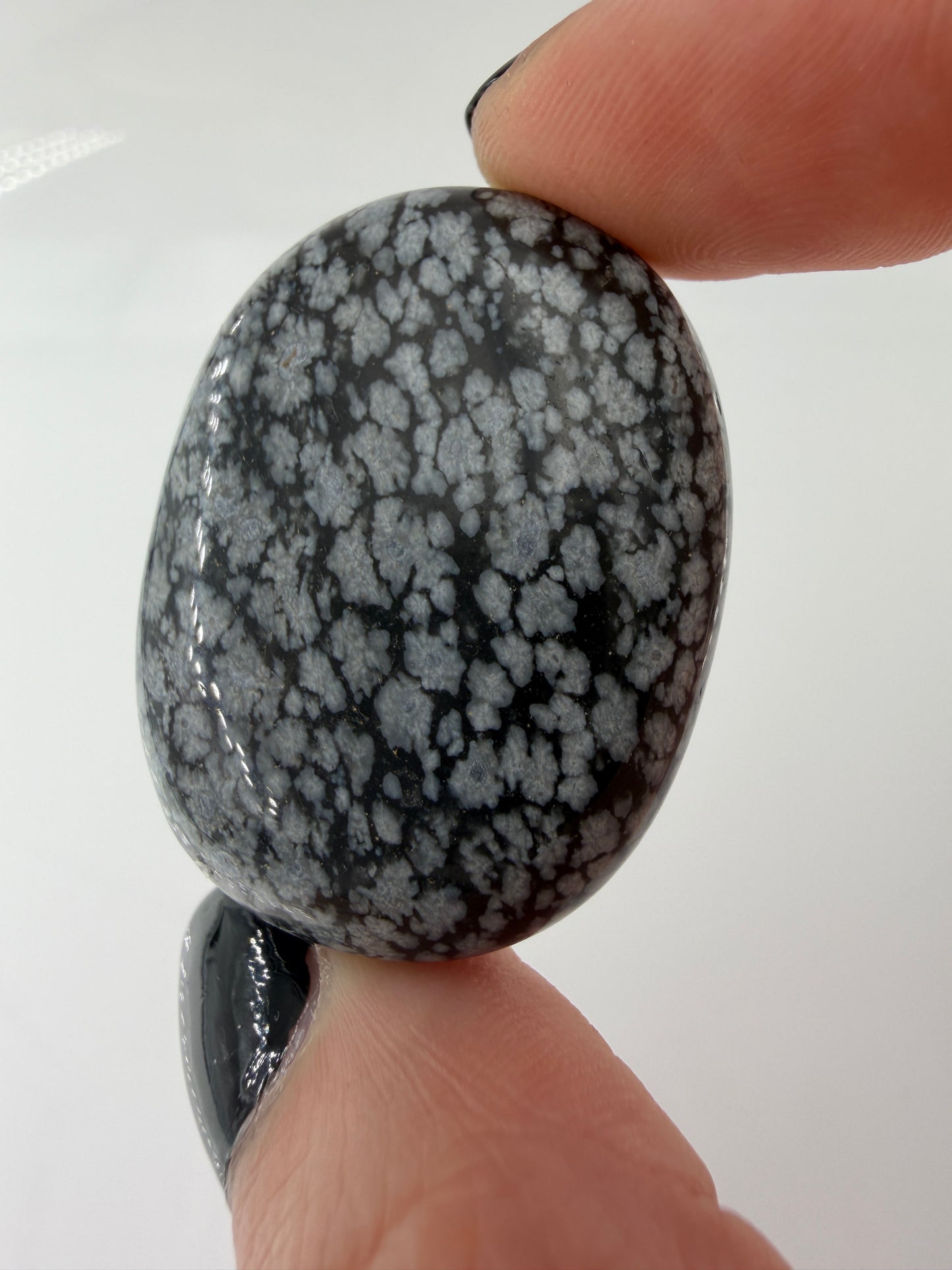 Flacher Scheibenstein aus Schneeflocken-Obsidian mit markanten weißen Cristobalit-Flocken auf schwarzer Glasmatrix.