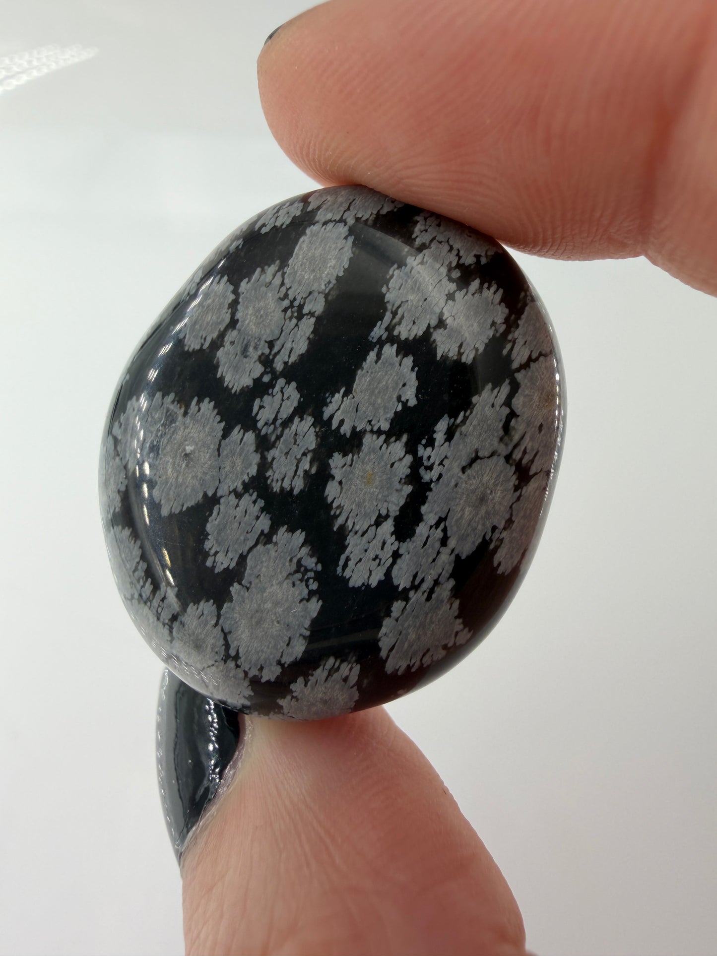 Flacher Scheibenstein aus Schneeflocken-Obsidian mit markanten weißen Cristobalit-Flocken auf schwarzer Glasmatrix.