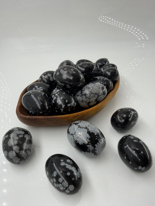 IMG-1473_5a057cf9-6460-46b1-abbb-0dff7cabafde