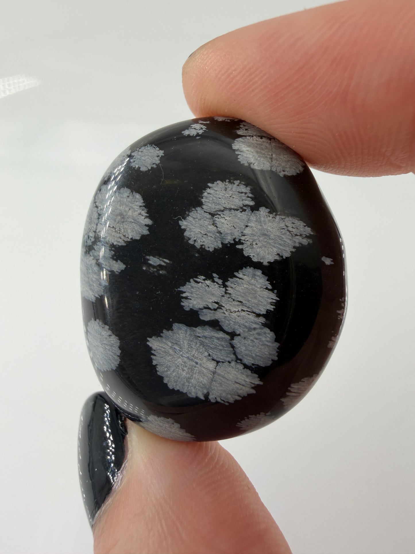 Flacher Scheibenstein aus Schneeflocken-Obsidian mit markanten weißen Cristobalit-Flocken auf schwarzer Glasmatrix.