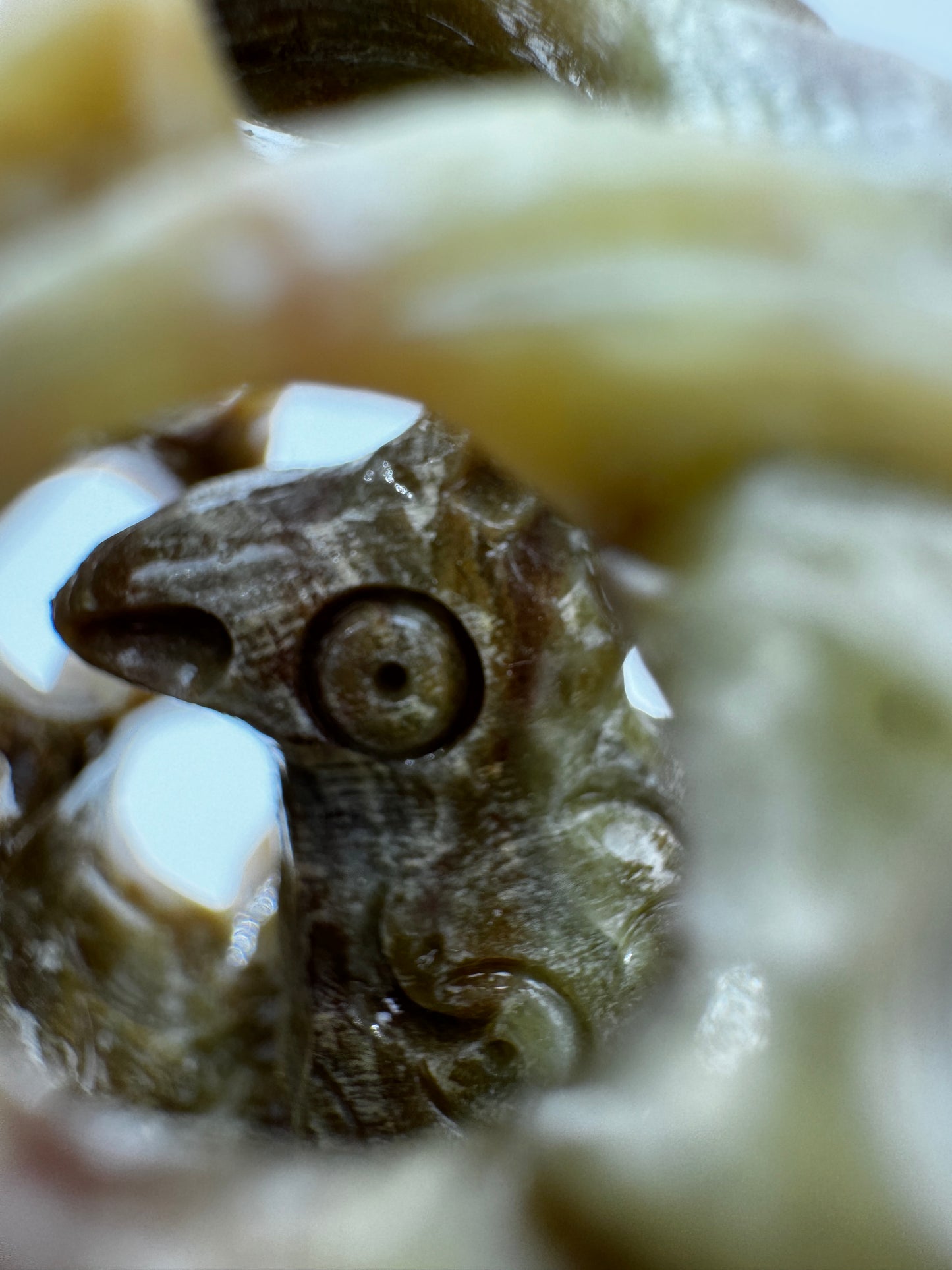 Speckstein-Carving Pfau SG22 mit eingeschlossenem Vogel aus Steatit.