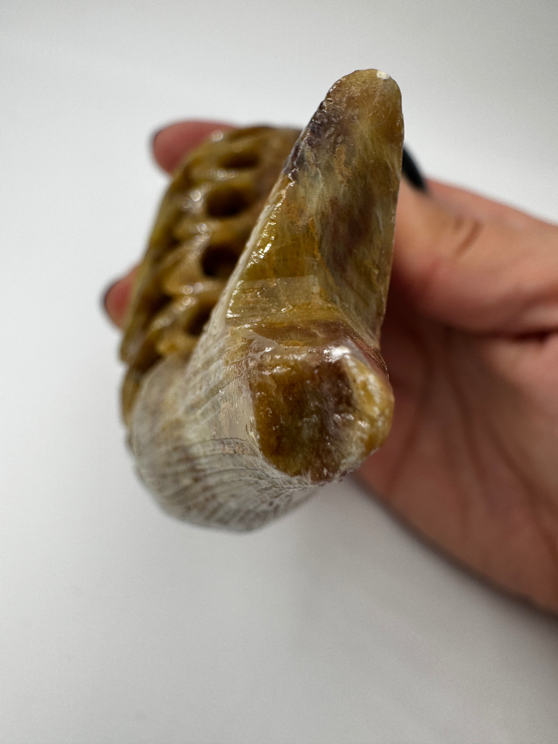 Speckstein-Carving SGF22 mit Fisch-im-Fisch-Motiv aus Steatit.