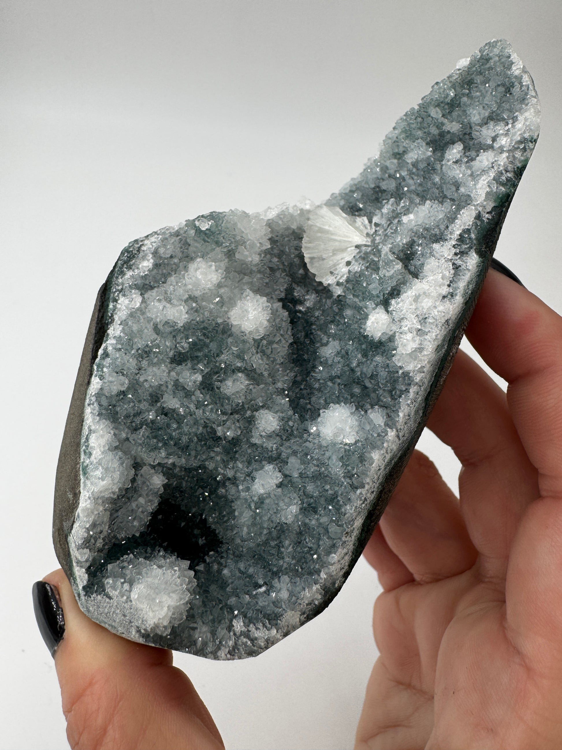Teal-Chalcedon TC74 aus Indien, langgestreckte Mineralstufe mit botryoidaler Struktur in Petrolblau-Grün.