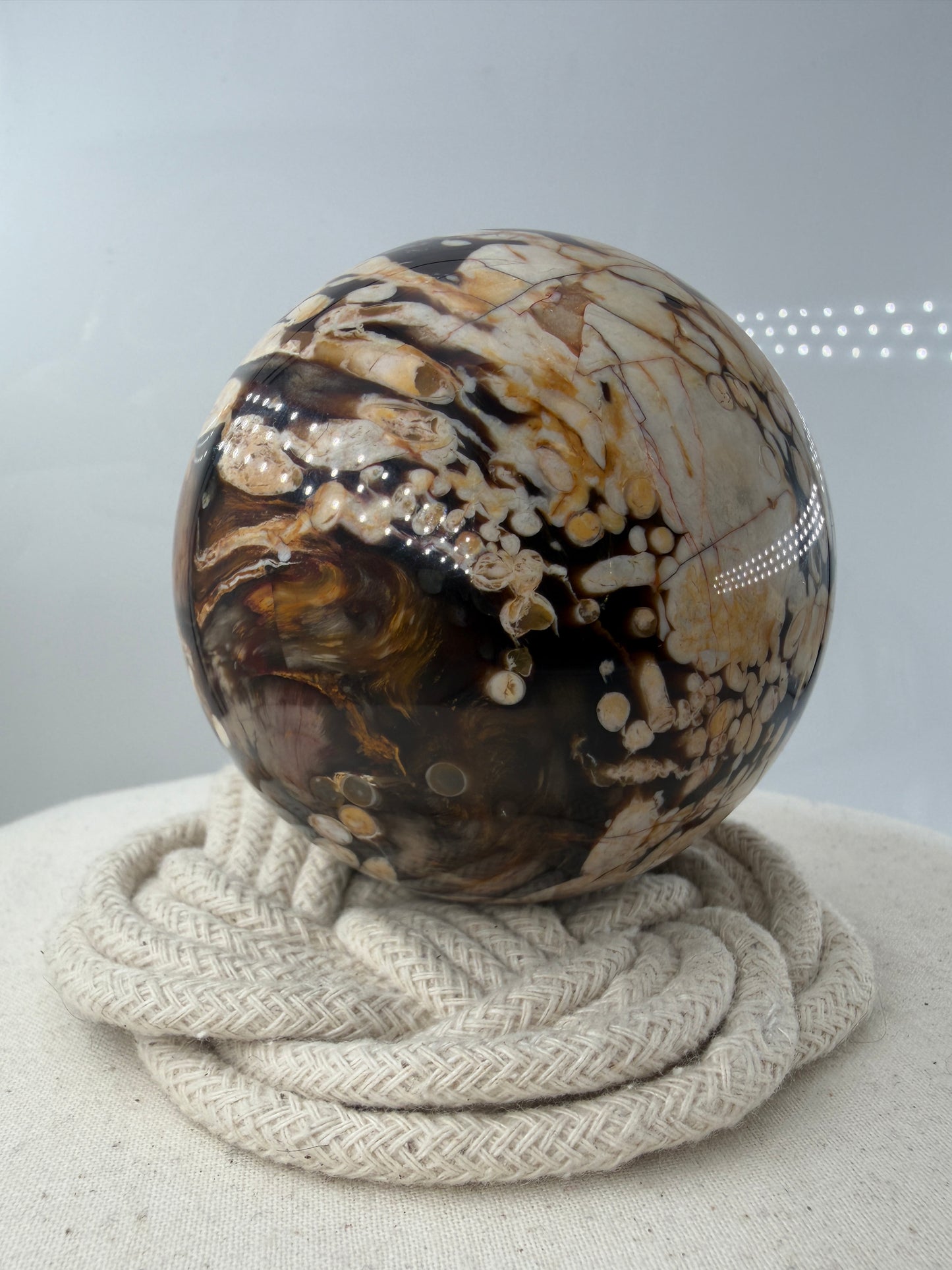 Peanut Jasper Kugel, poliertes versteinertes Holz mit kontrastreichen hellen Einschlüssen fossiler Bohrkanäle.