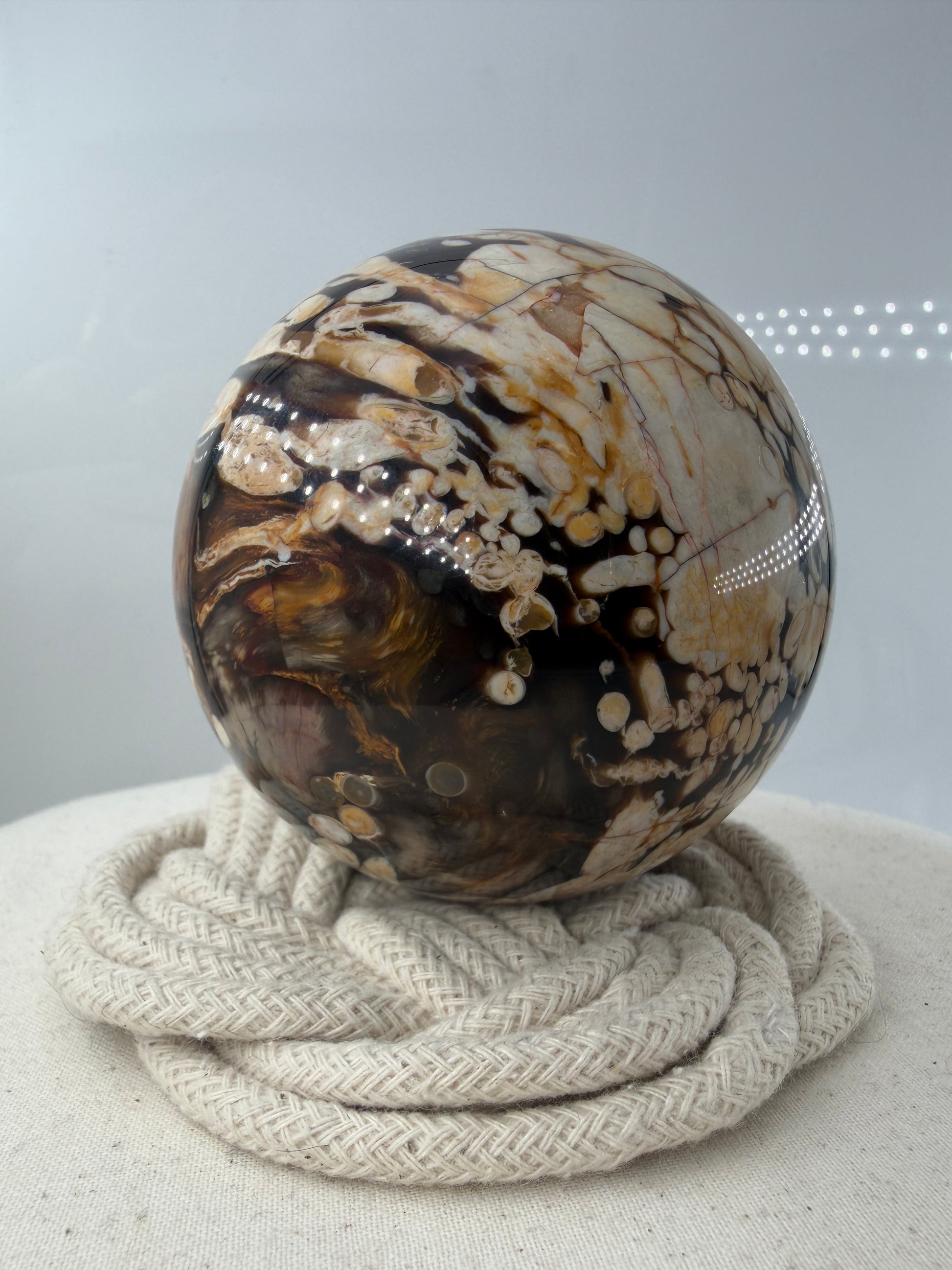 Peanut Jasper Kugel, poliertes versteinertes Holz mit kontrastreichen hellen Einschlüssen fossiler Bohrkanäle.