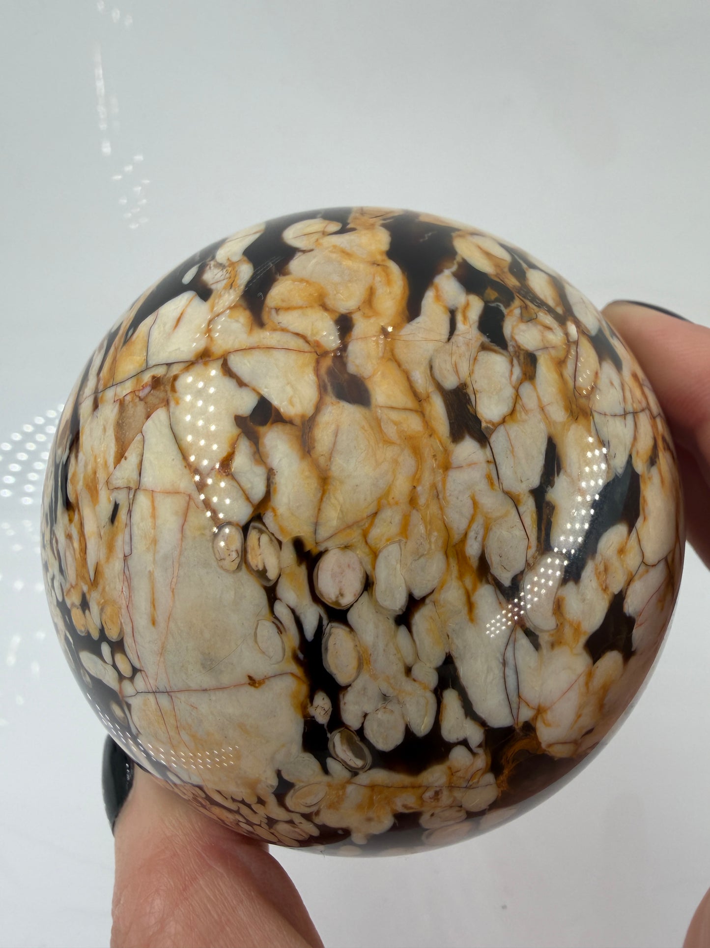 Aufnahme der Oberflächenstruktur einer Erdnuss-Jaspis Kugel, zeigt die detaillierten Kieselsäure-Verfüllungen der Teredo-Bohrungen.