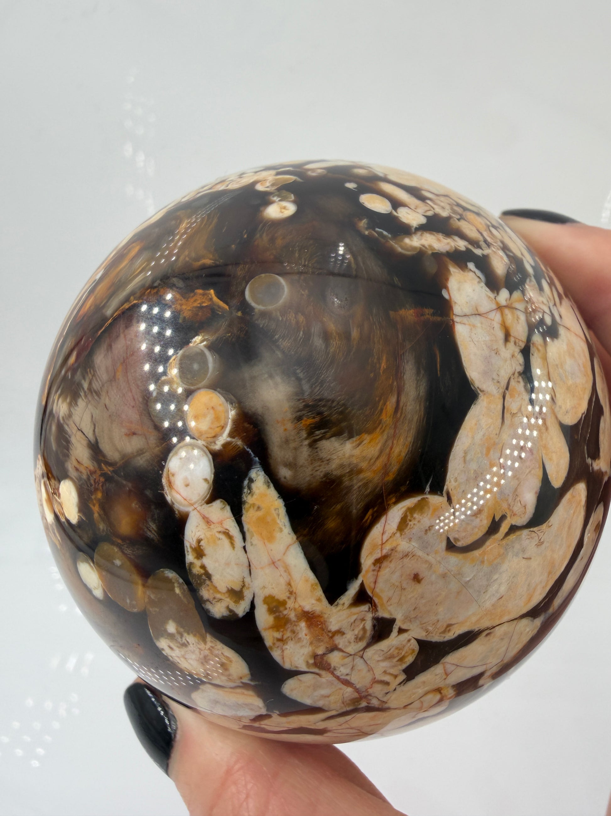 Aufnahme der Oberflächenstruktur einer Erdnuss-Jaspis Kugel, zeigt die detaillierten Kieselsäure-Verfüllungen der Teredo-Bohrungen.