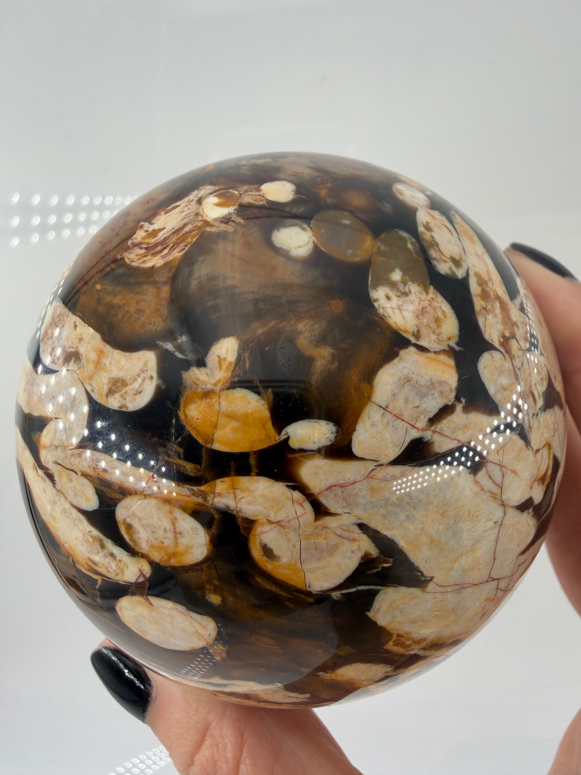 Aufnahme der Oberflächenstruktur einer Erdnuss-Jaspis Kugel, zeigt die detaillierten Kieselsäure-Verfüllungen der Teredo-Bohrungen.