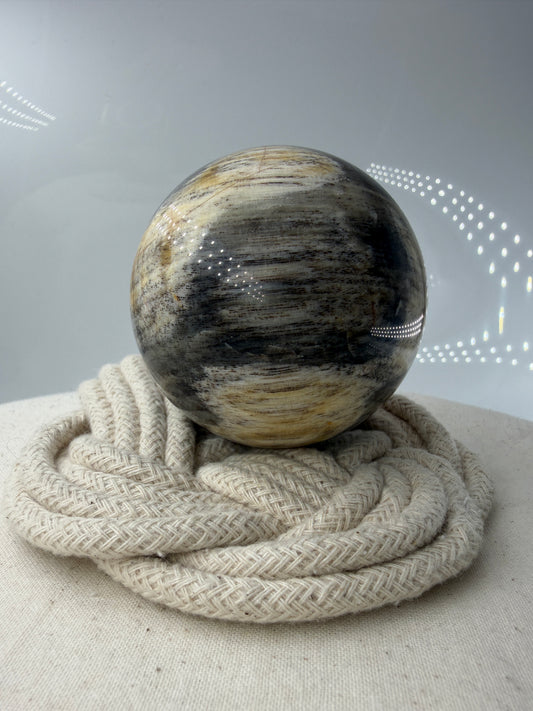 Polierte Kugel aus Versteinertem Holz mit deutlich Sichtbaren Braunen und beigen Maserungen der eigenen Holzstruktur.
