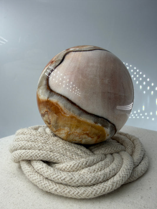 Polierte Kugel aus Versteinertem Holz mit deutlich Sichtbaren Braunen und beigen Maserungen der eigenen Holzstruktur.