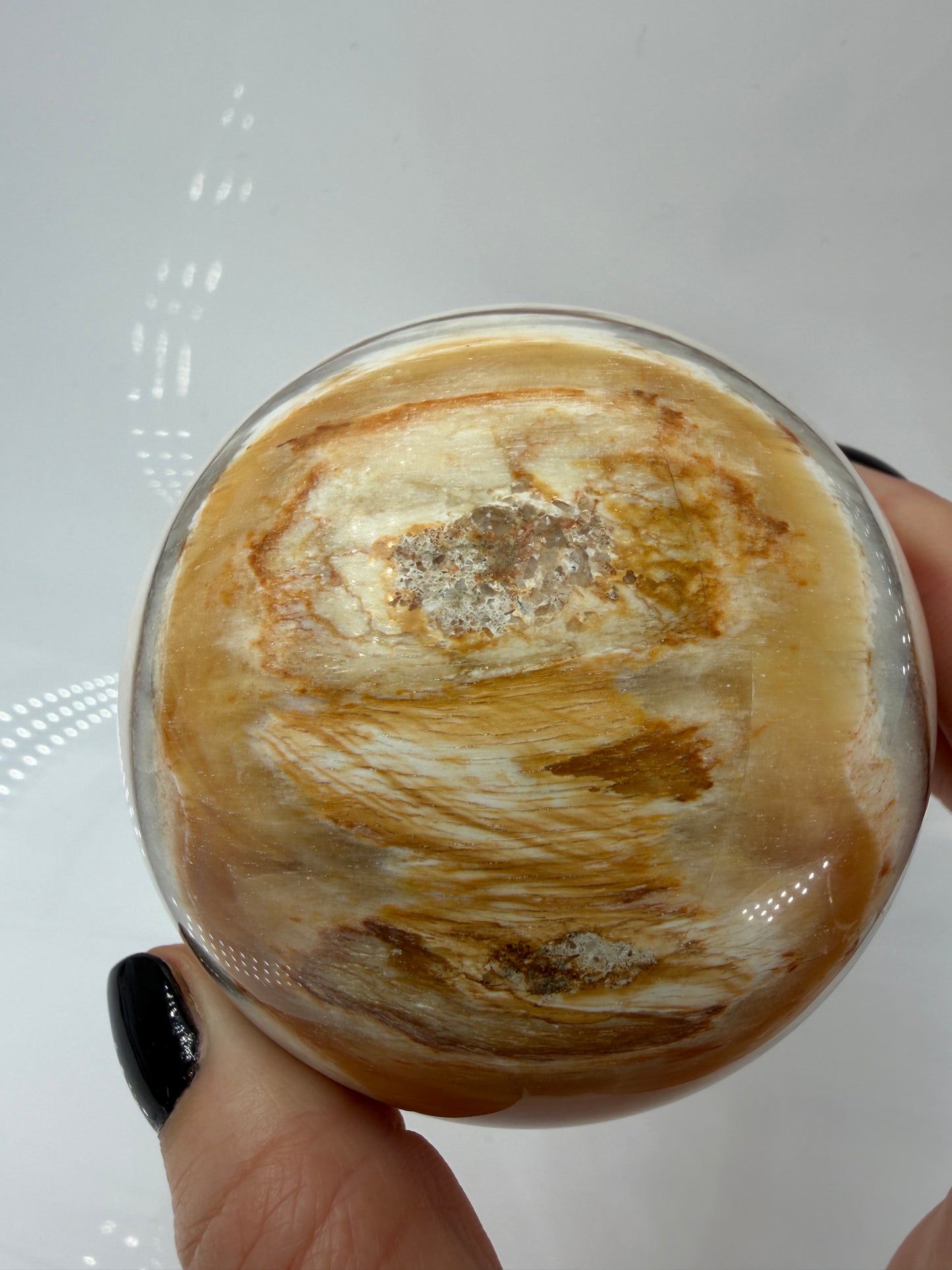 Polierte Kugel aus Versteinertem Holz mit deutlich Sichtbaren Braunen und beigen Maserungen der eigenen Holzstruktur.