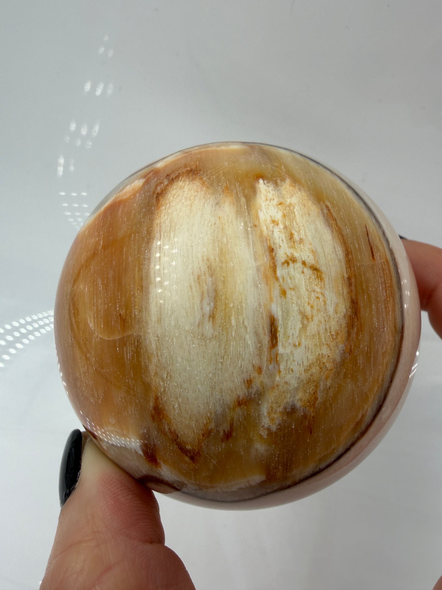 Polierte Kugel aus Versteinertem Holz mit deutlich Sichtbaren Braunen und beigen Maserungen der eigenen Holzstruktur.