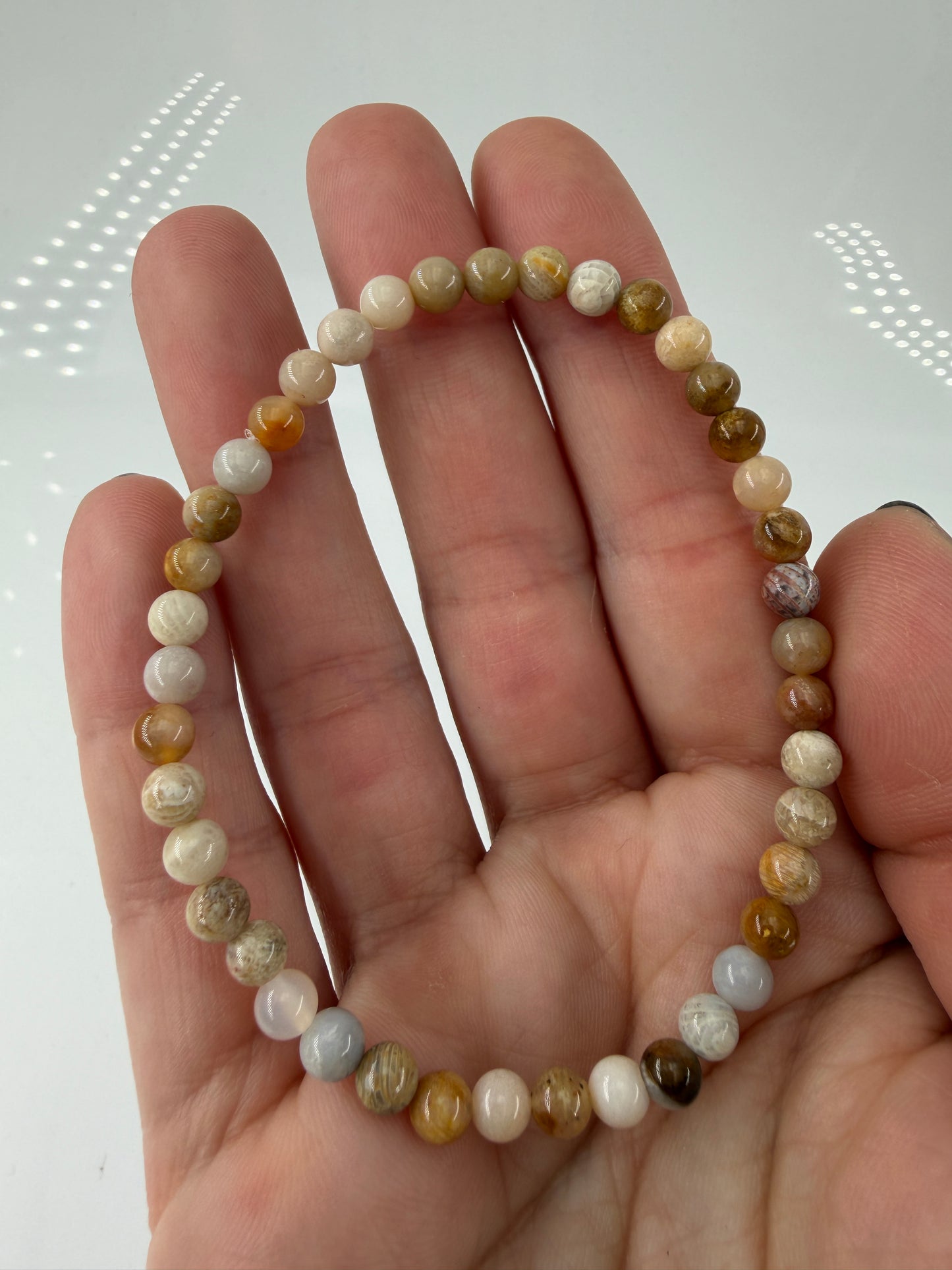 Elastisches Armbänder aus versteinerter Koralle (Petrosit) mit natürlicher Farbpalette.