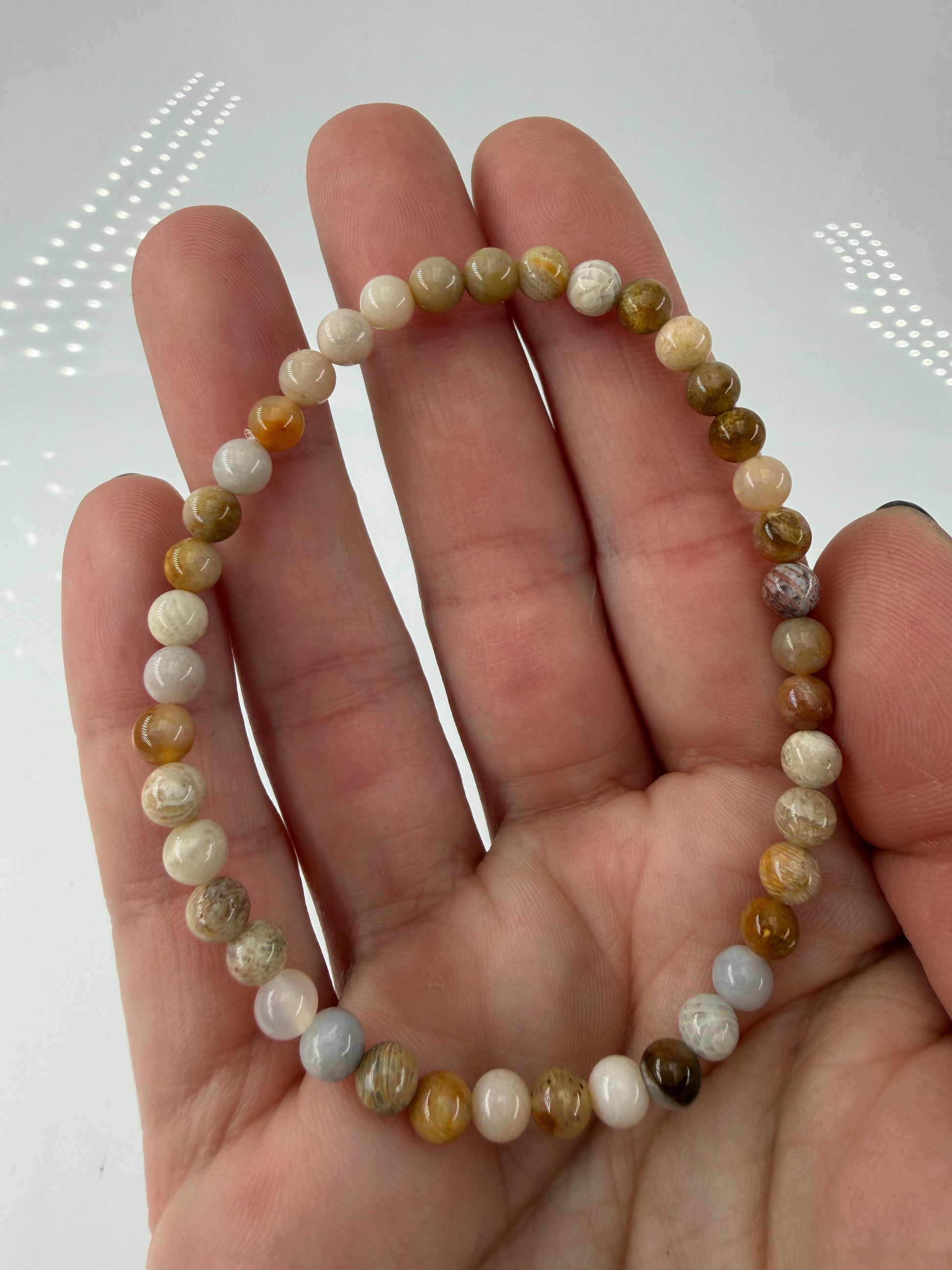 Elastisches Armbänder aus versteinerter Koralle (Petrosit) mit natürlicher Farbpalette.