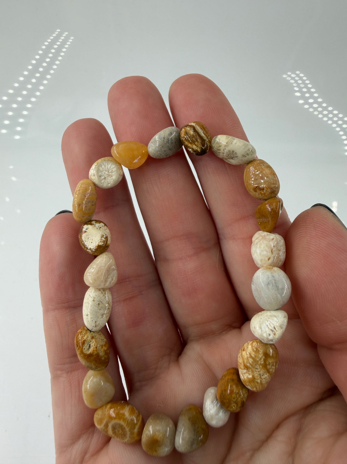 Elastisches Armbänder aus versteinerter Koralle (Petrosit) mit natürlicher Farbpalette.