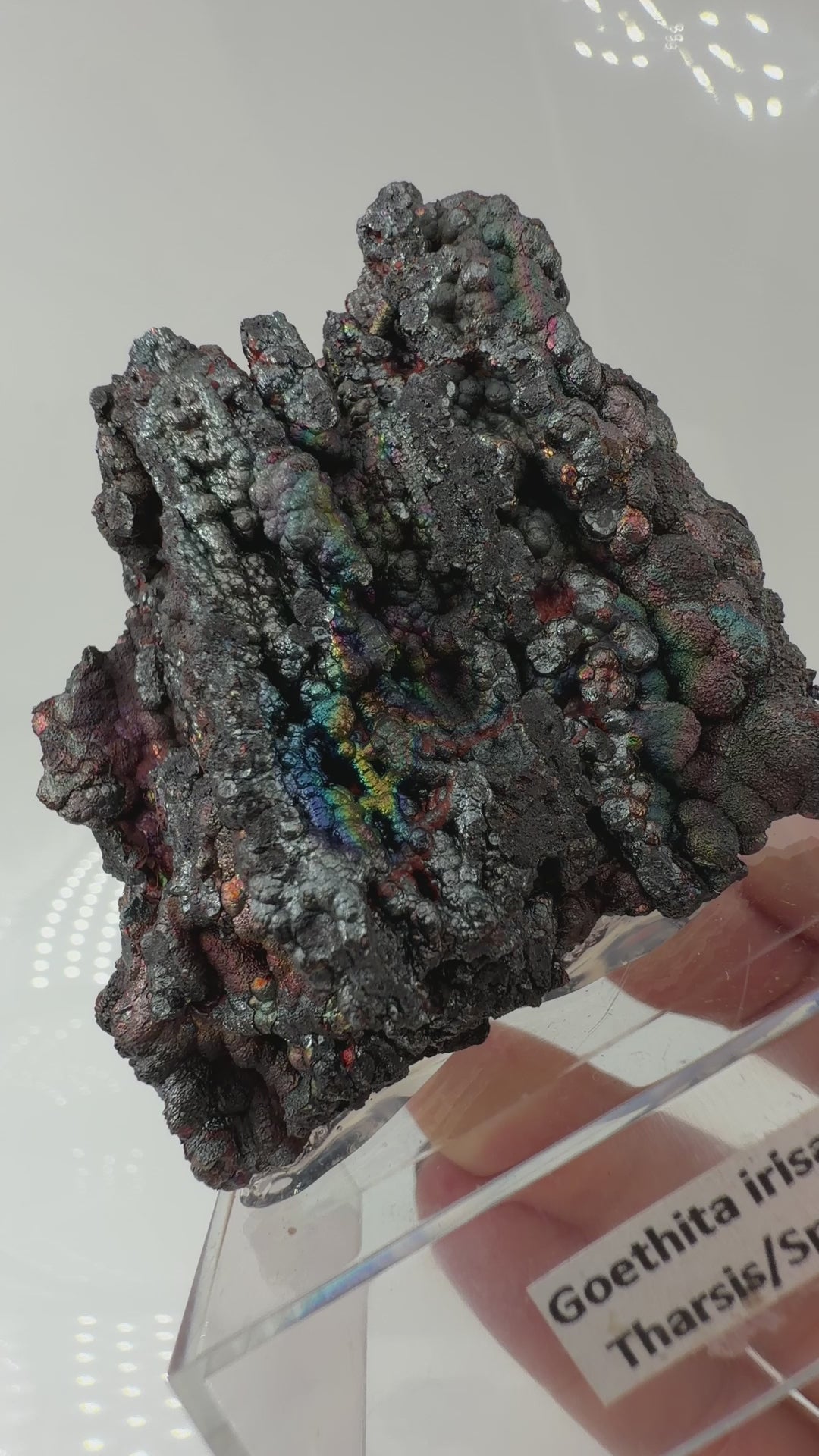 Nahaufnahme der irisierenden Oxidschichten auf Goethit GT58 – Farbenspiel von Gold bis Violett, Tharsis Spanien

