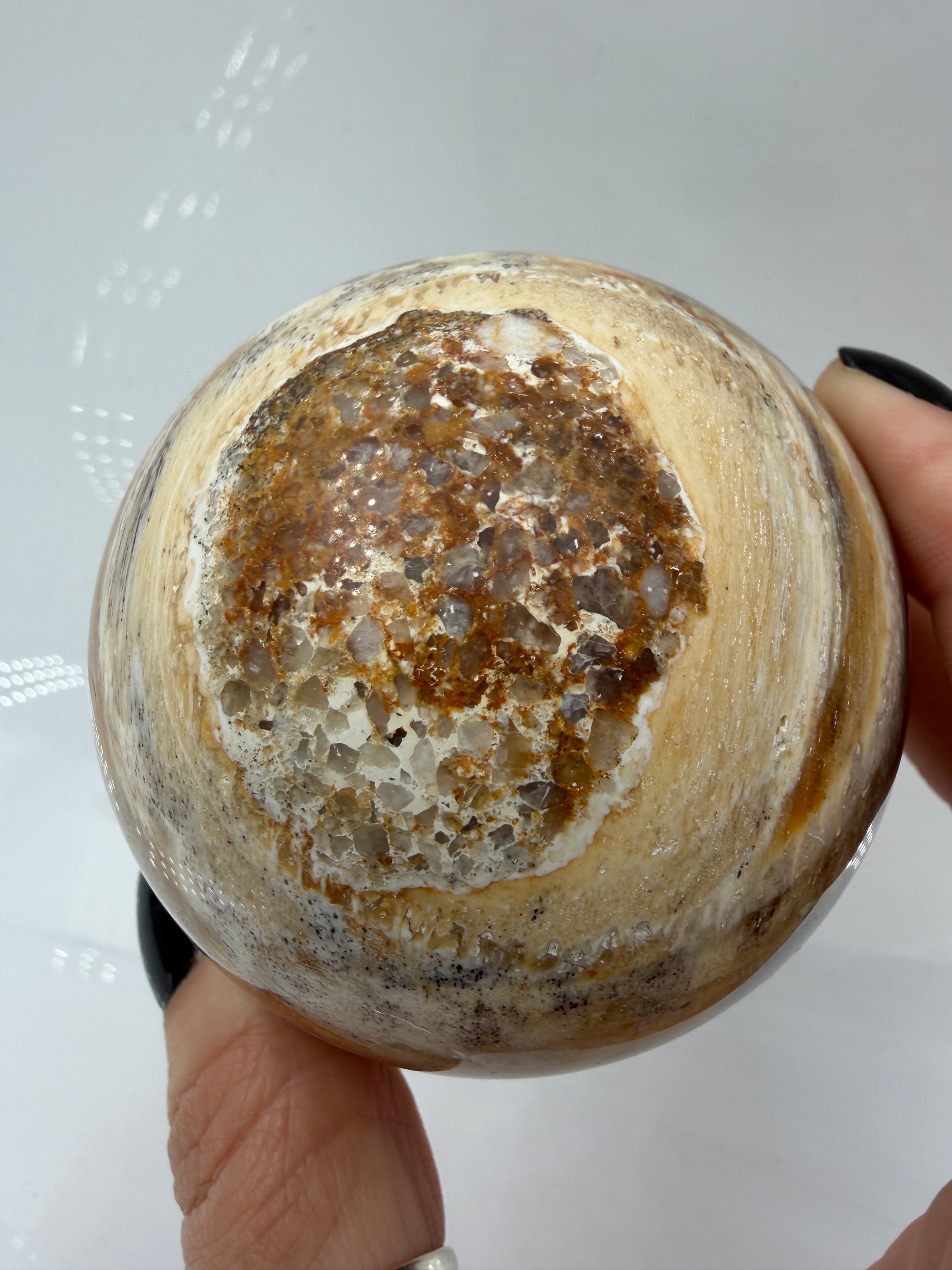 Polierte Kugel aus Versteinertem Holz mit deutlich Sichtbaren Braunen und beigen Maserungen der eigenen Holzstruktur.