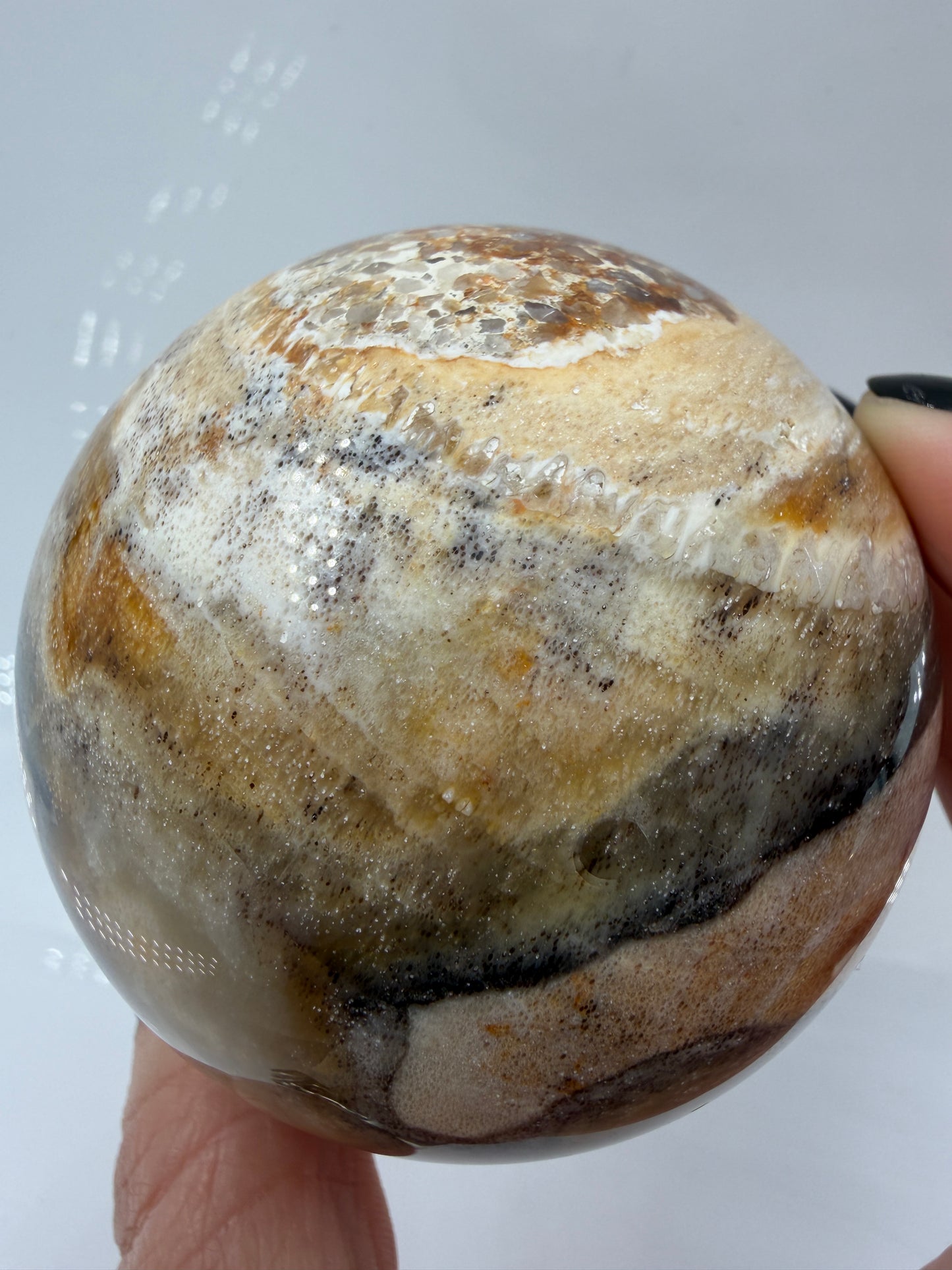 Polierte Kugel aus Versteinertem Holz mit deutlich Sichtbaren Braunen und beigen Maserungen der eigenen Holzstruktur.