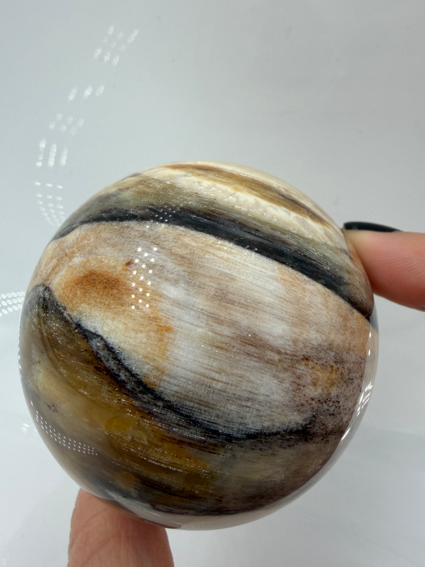 Polierte Kugel aus Versteinertem Holz mit deutlich Sichtbaren Braunen und beigen Maserungen der eigenen Holzstruktur.